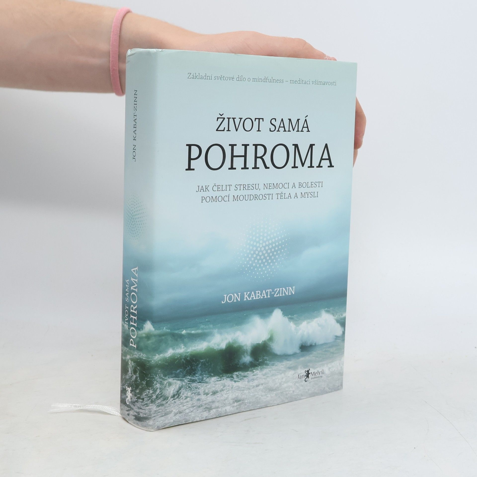 Jon Kabat-Zinn Život samá pohroma