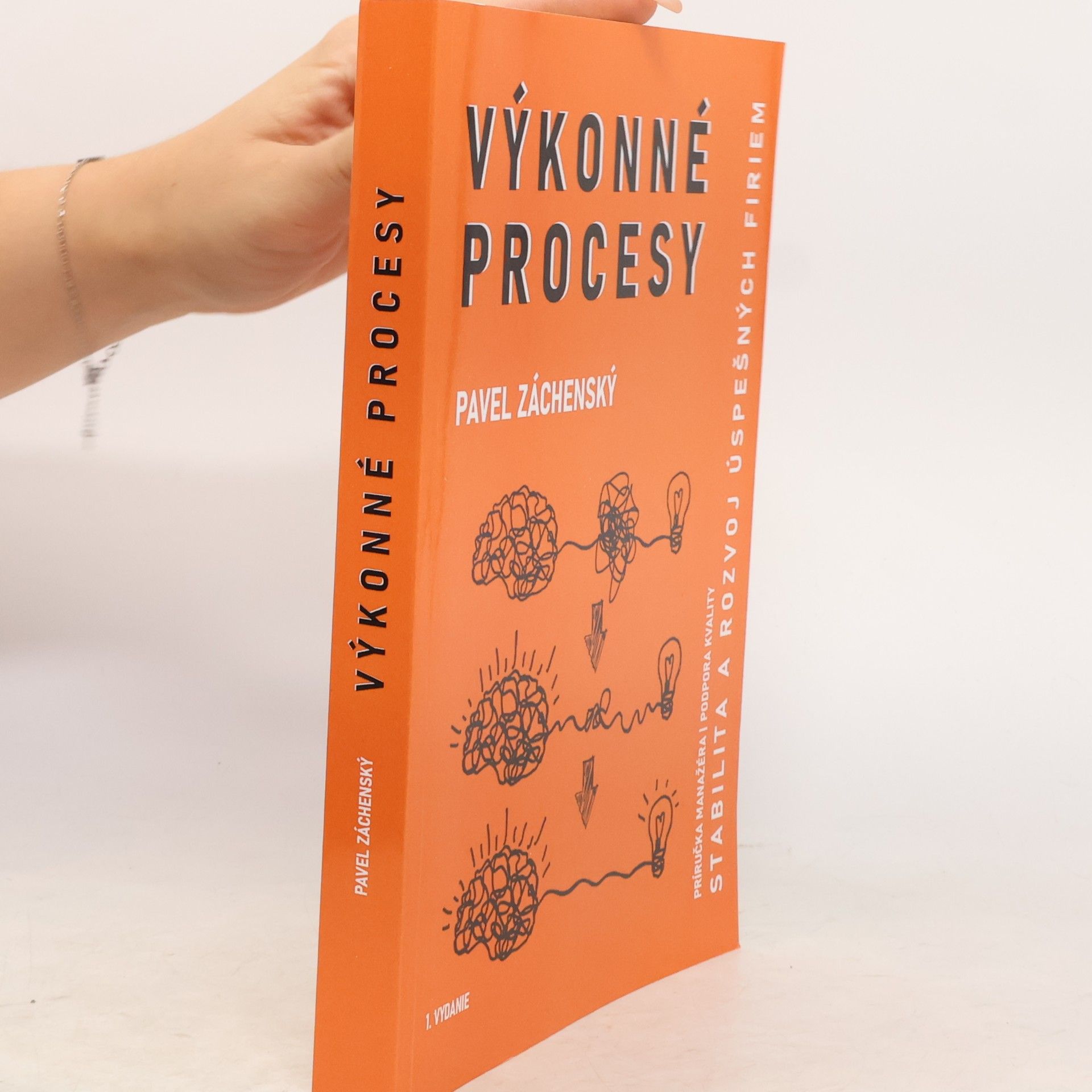 Pavel Záchenský Výkonné procesy