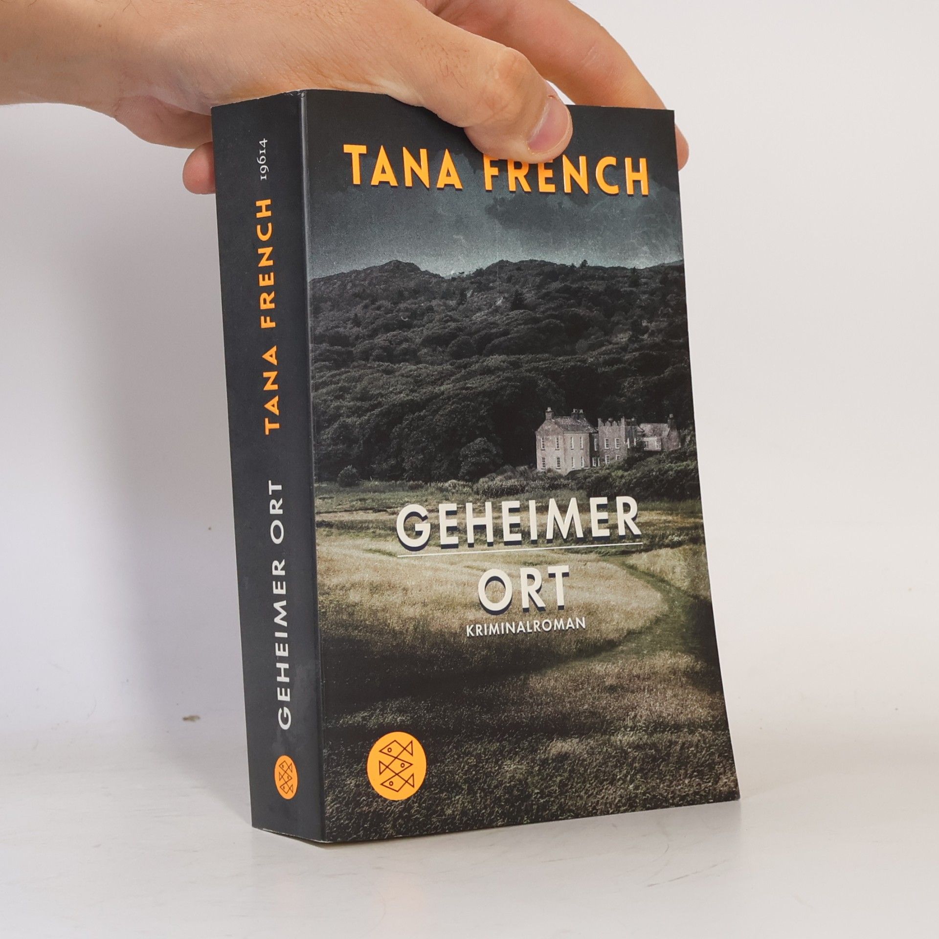 Tana French Geheimer Ort