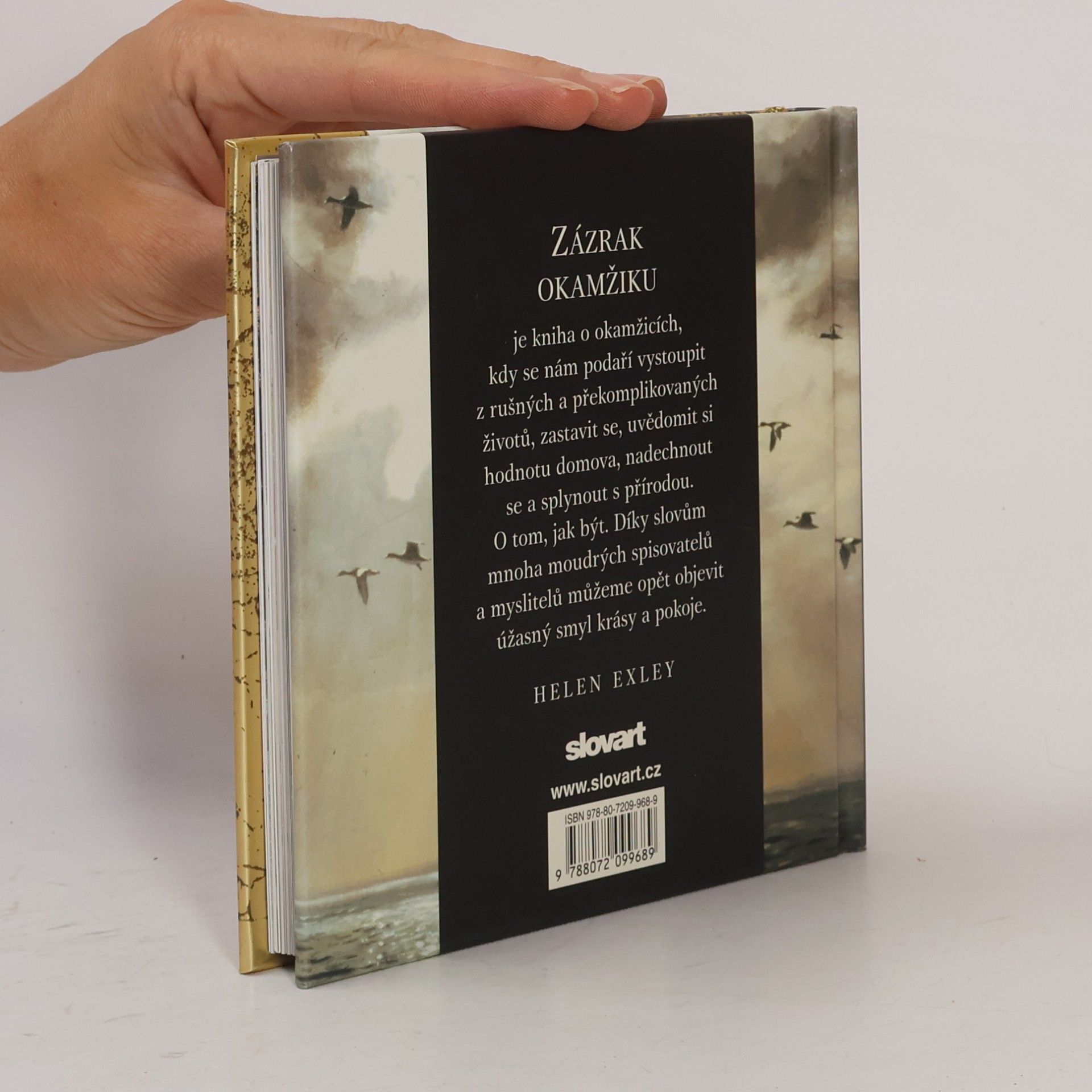 Helen Exley Zázrak okamžiku