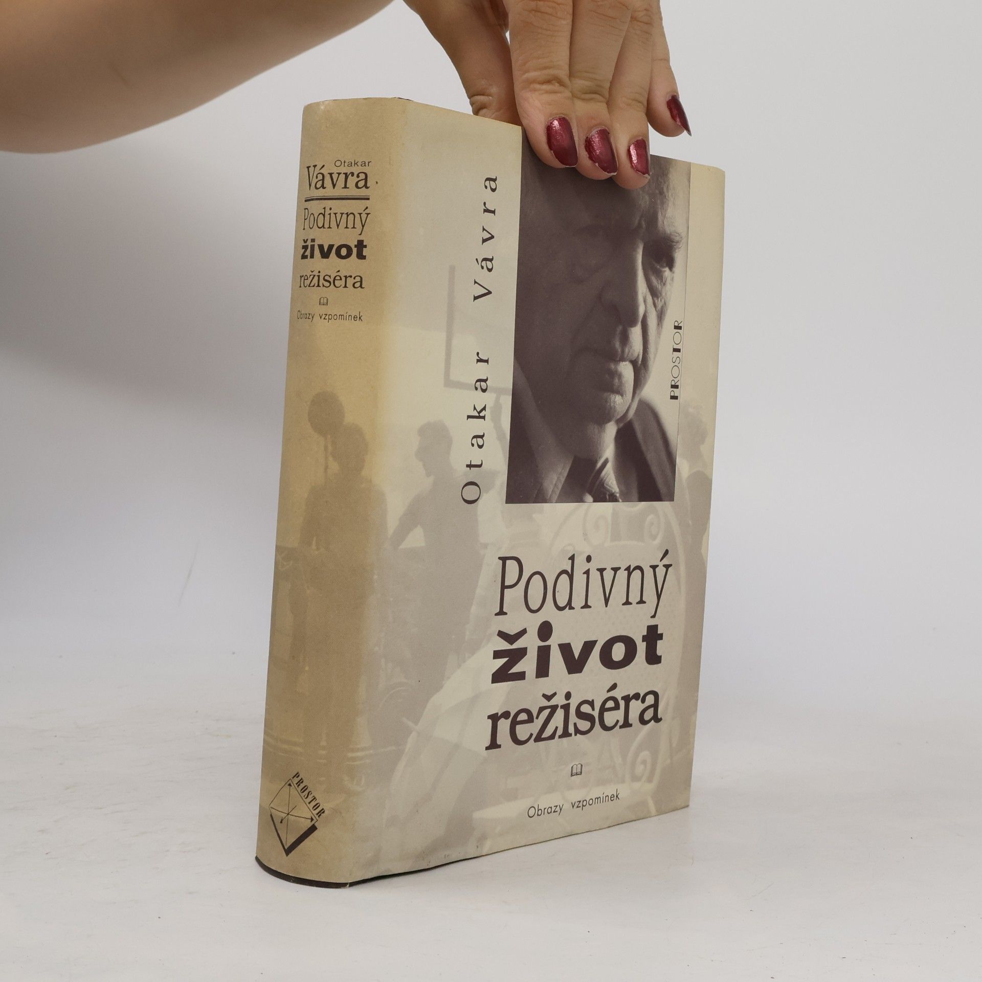Podivný život režiséra : obrazy vzpomínek