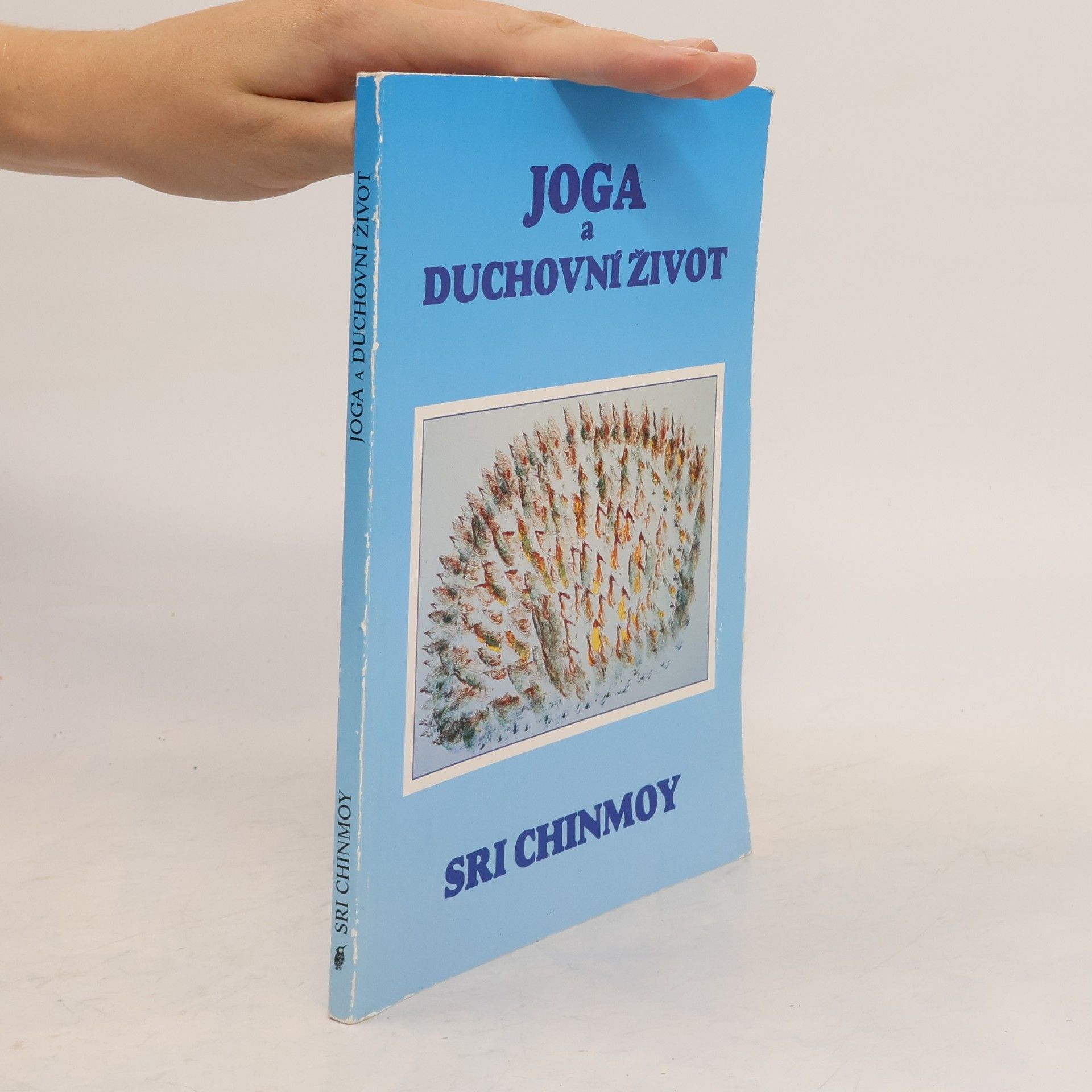 Šrí Činmoj Jóga a duchovní život: Cesta indické duše