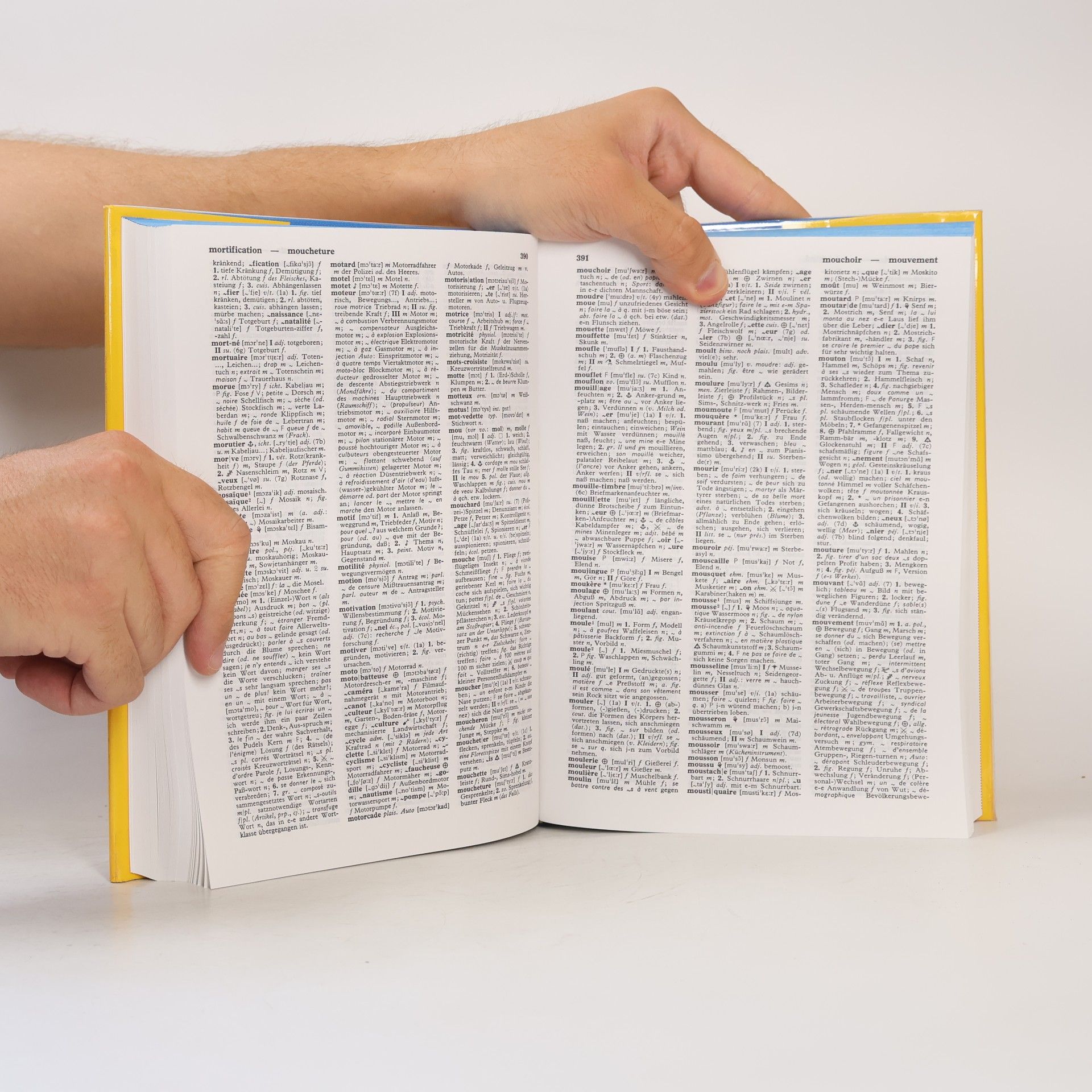 Autorenkollektiv Langenscheidts Handwörterbuch: Französisch