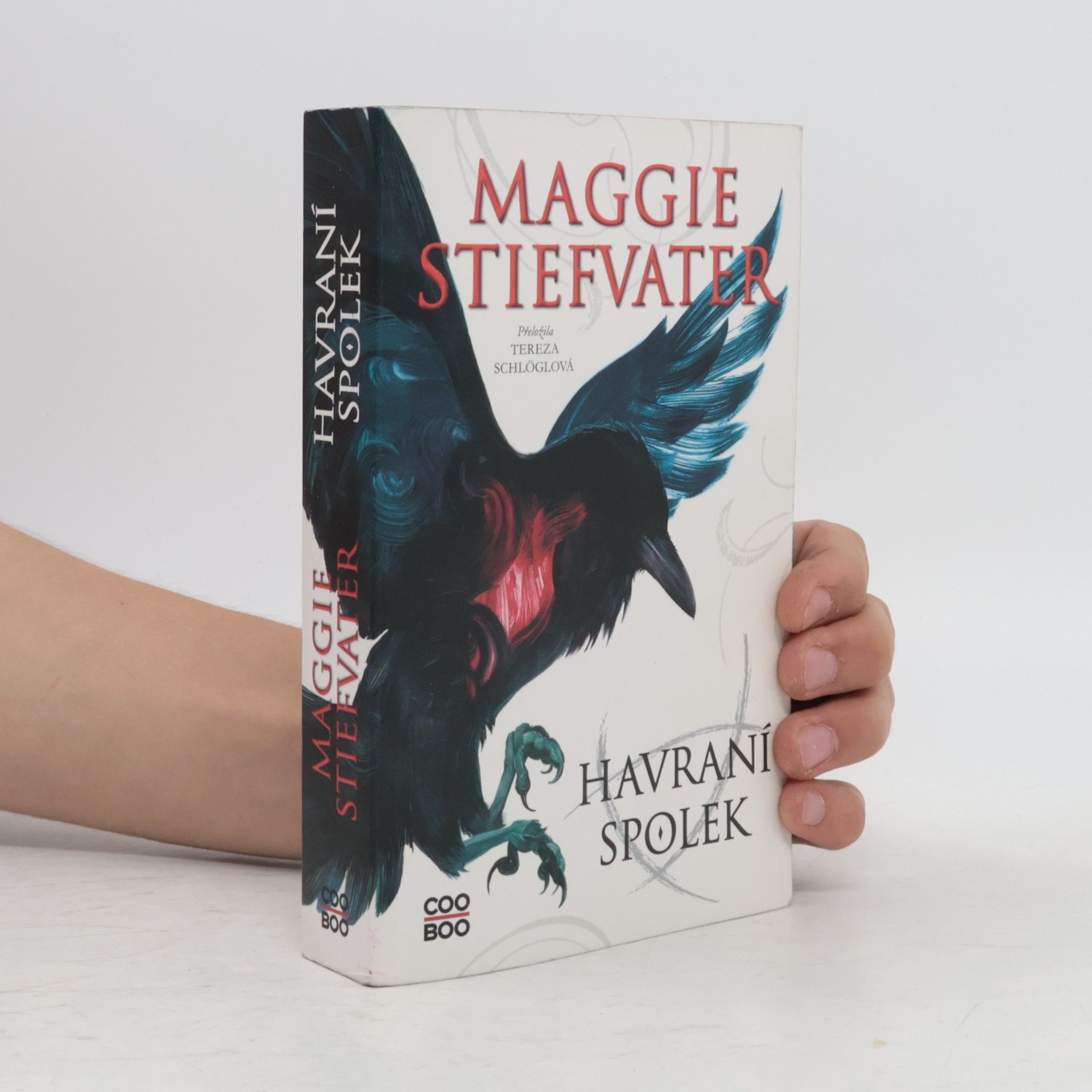 Maggie Stiefvater Havraní spolek