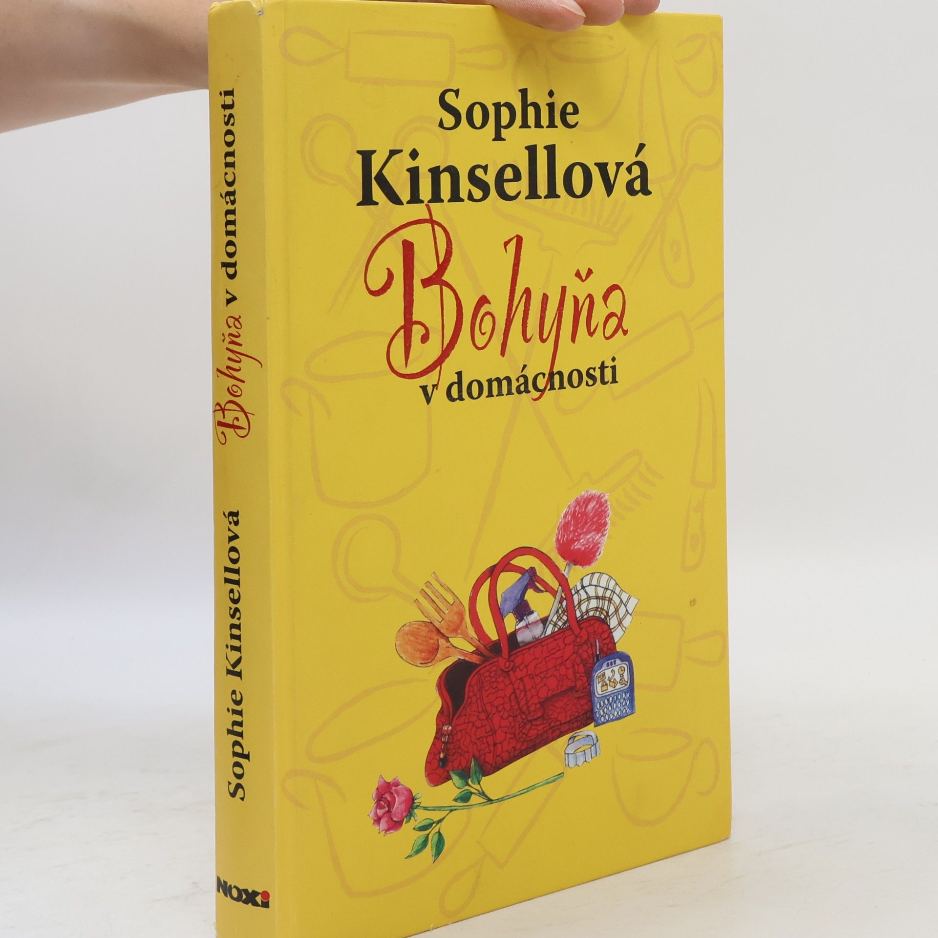 Sophie Kinsella Bohyňa v domácnosti