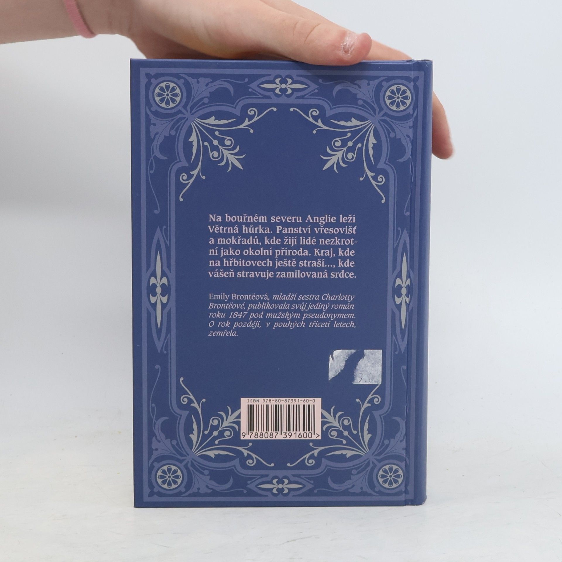 Emily Brontë Na větrné hůrce