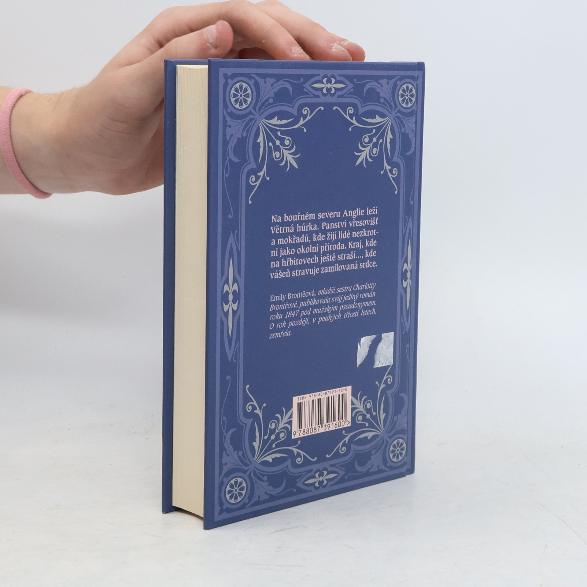 Emily Brontë Na větrné hůrce