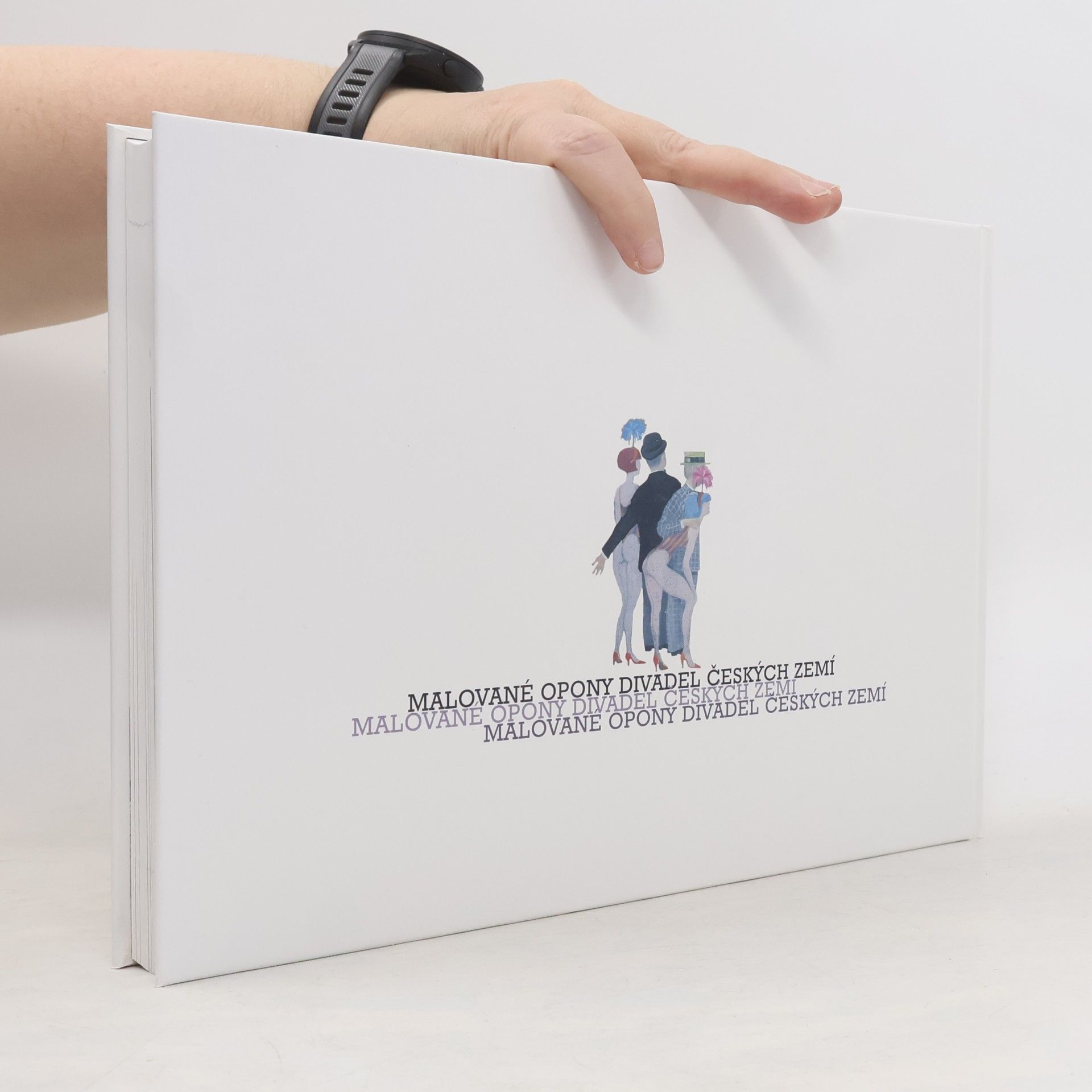 Autores varios Malované opony divadel českých zemí