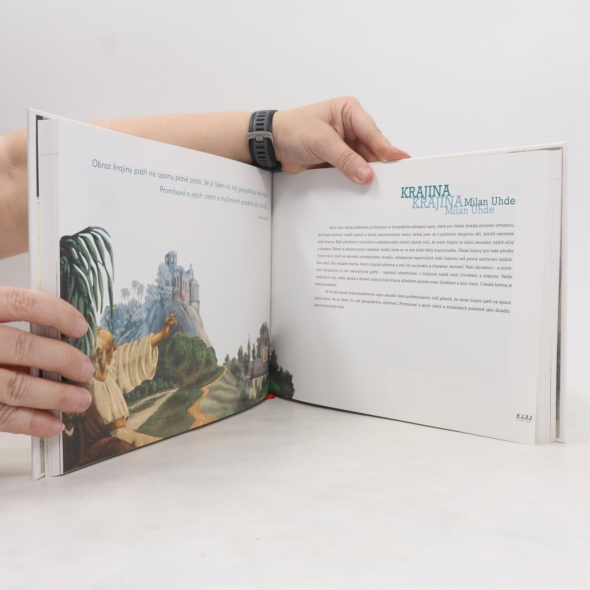 Autores varios Malované opony divadel českých zemí