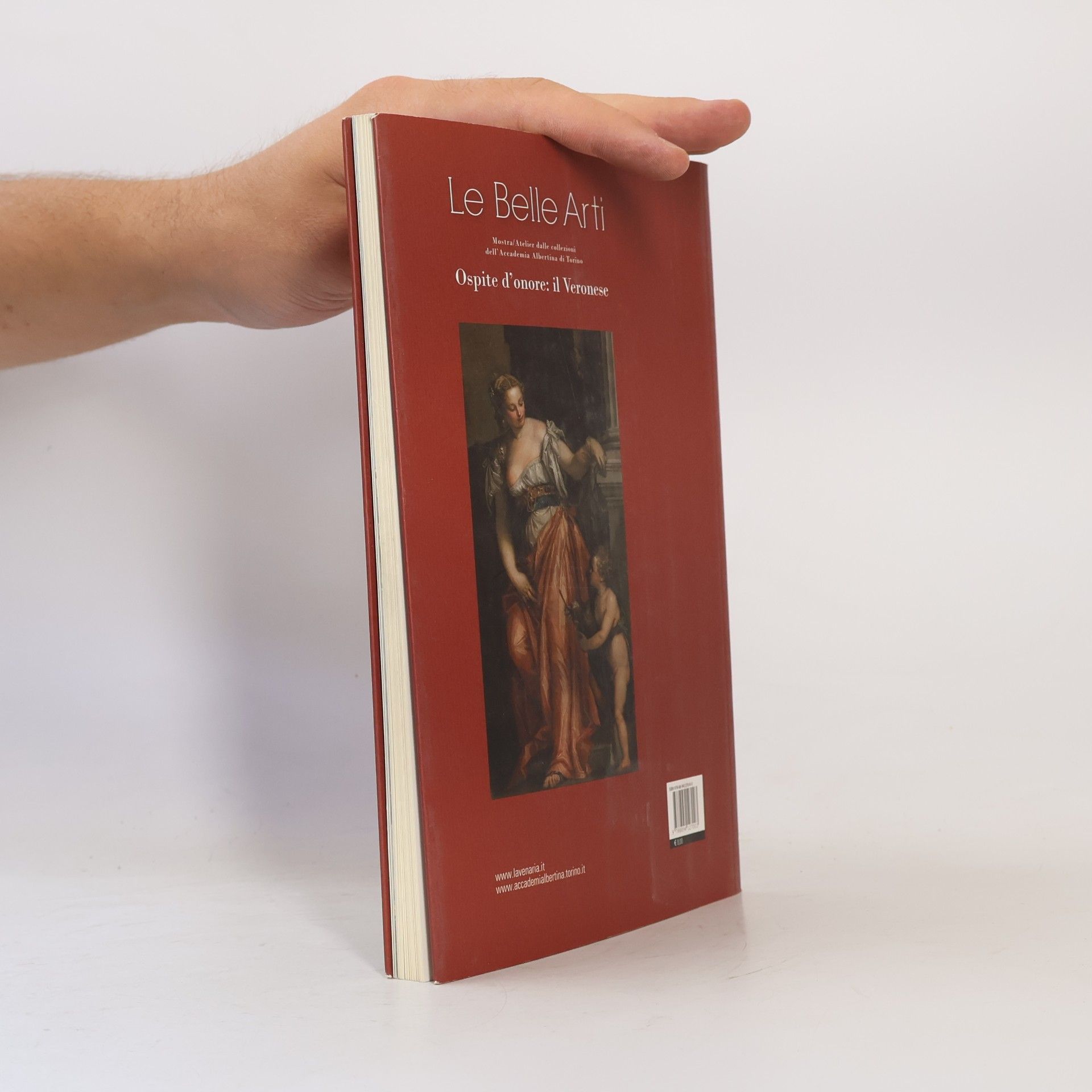 Le belle arti. Mostra/Atelier dalle collezioni dell'Accademia Albertina di Torino