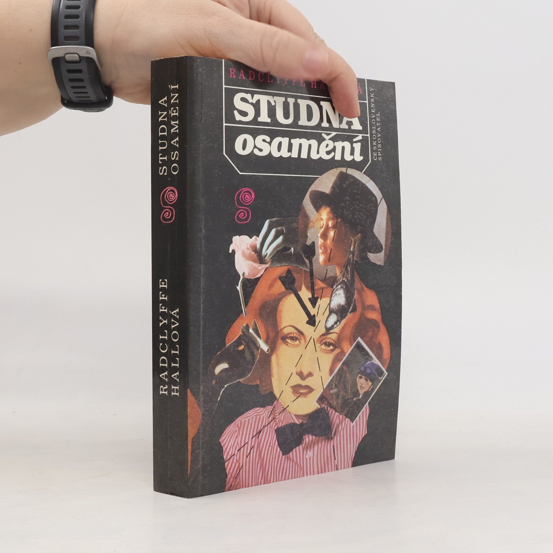 Radclyffe Hall Studna osamění