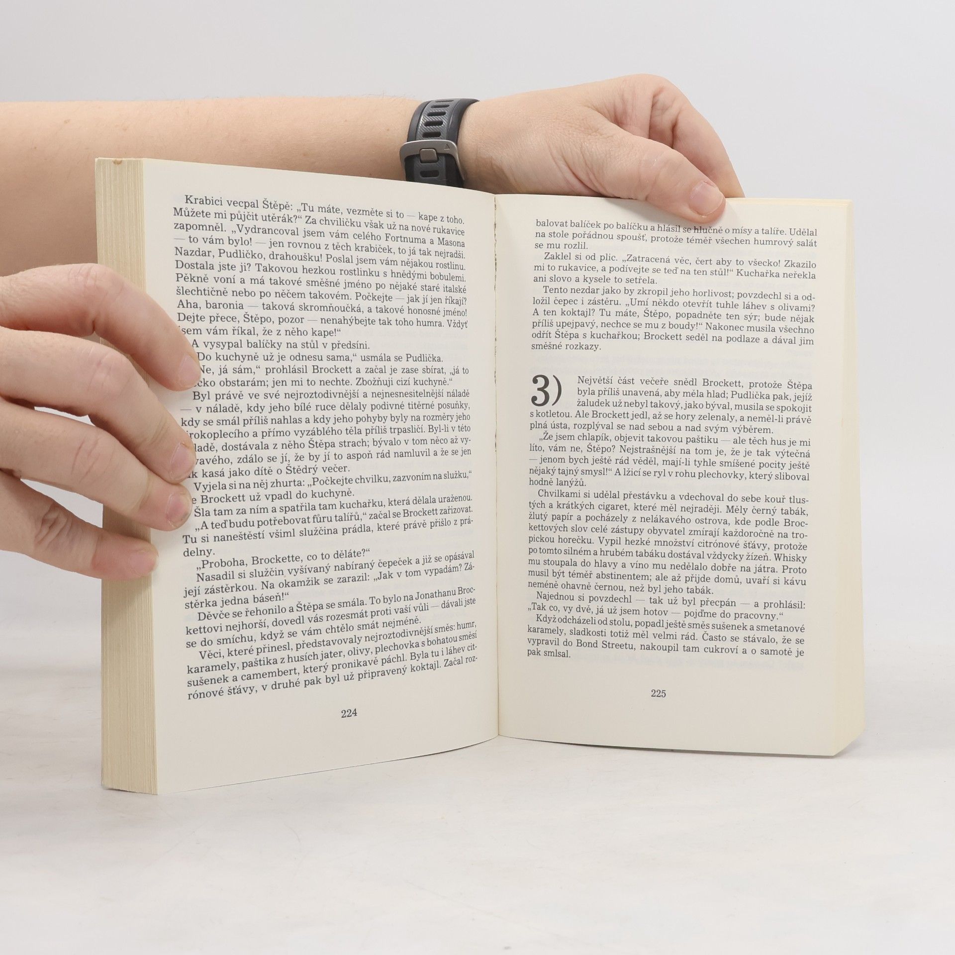 Radclyffe Hall Studna osamění