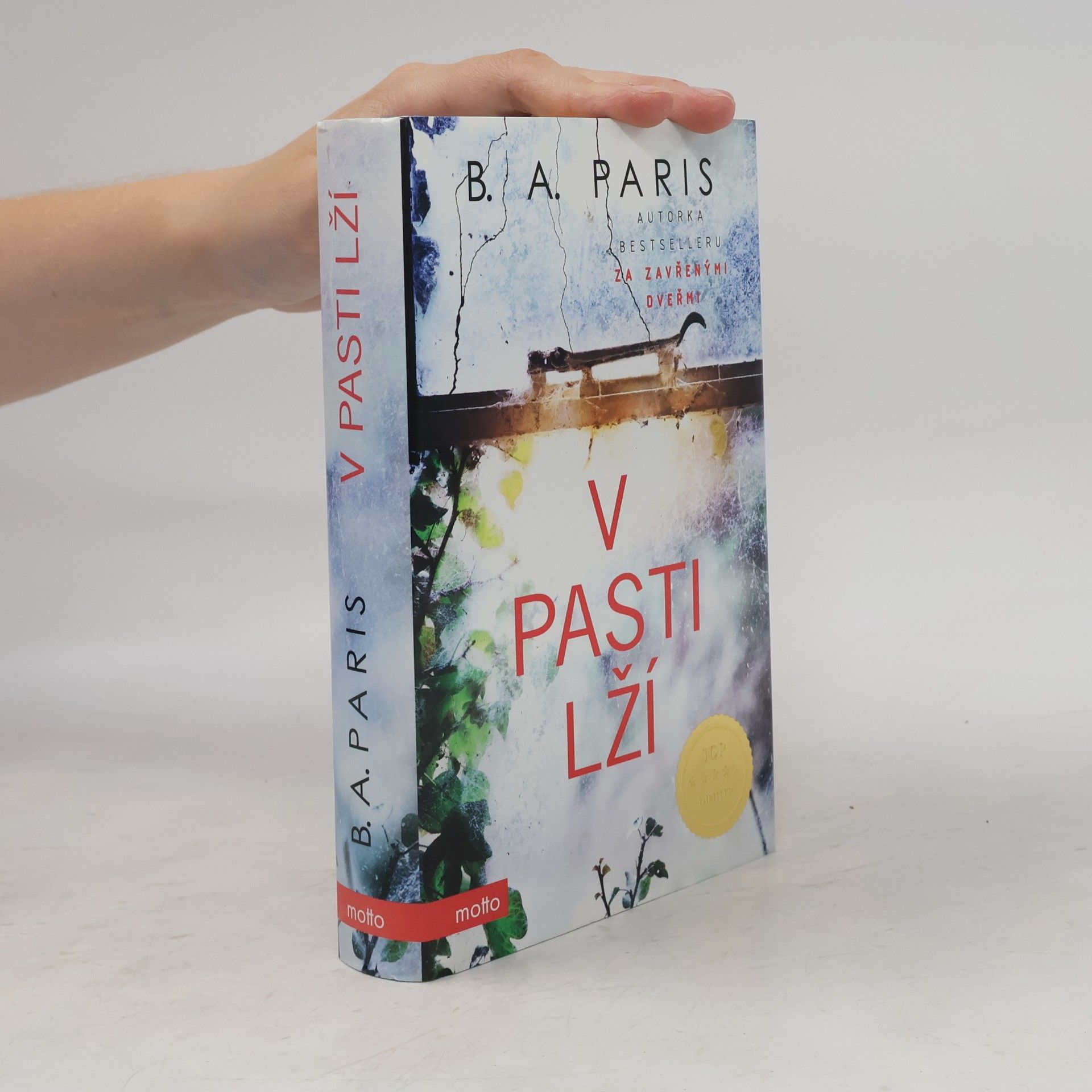 B.A. Paris V pasti lží