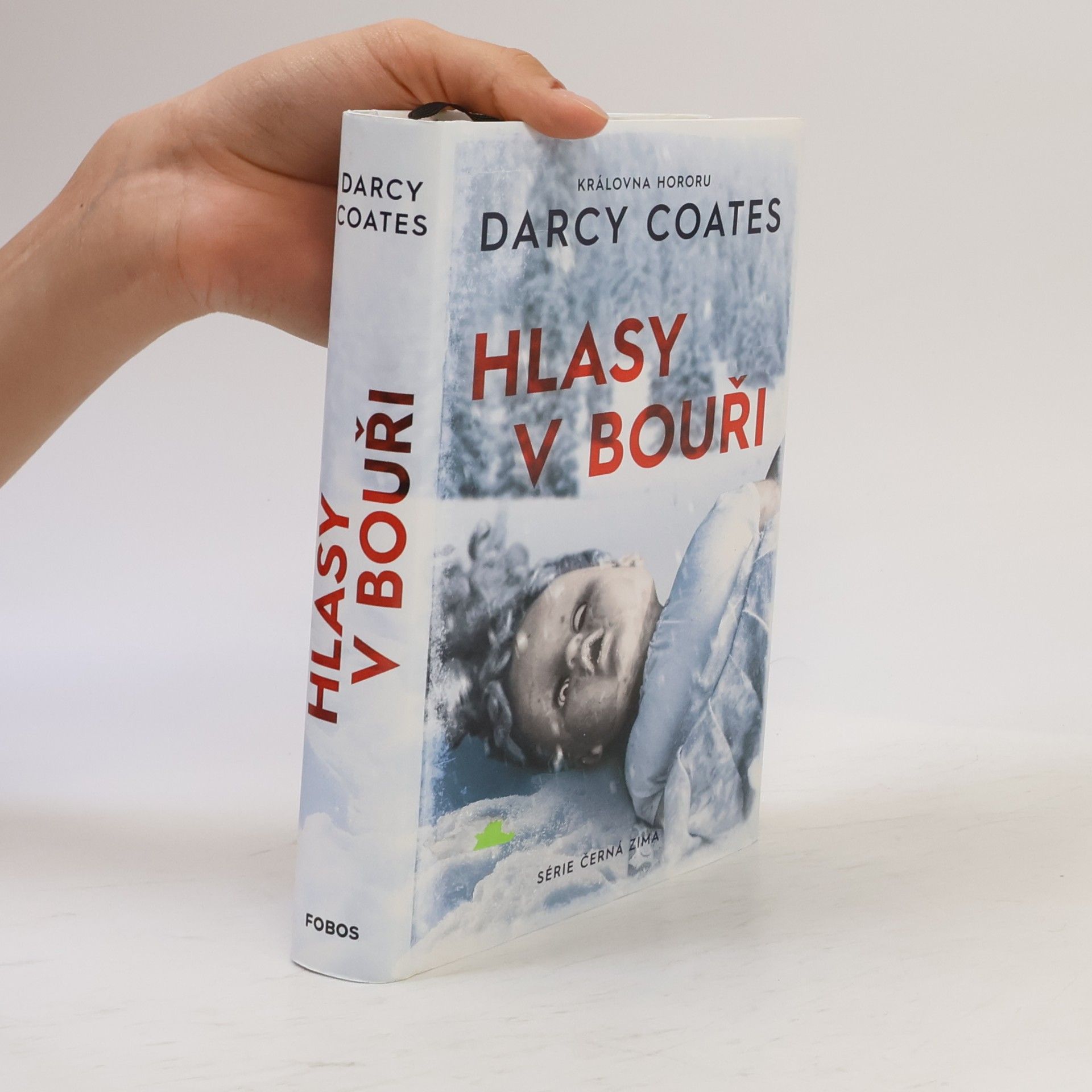 Darcy Coates Hlasy v bouři