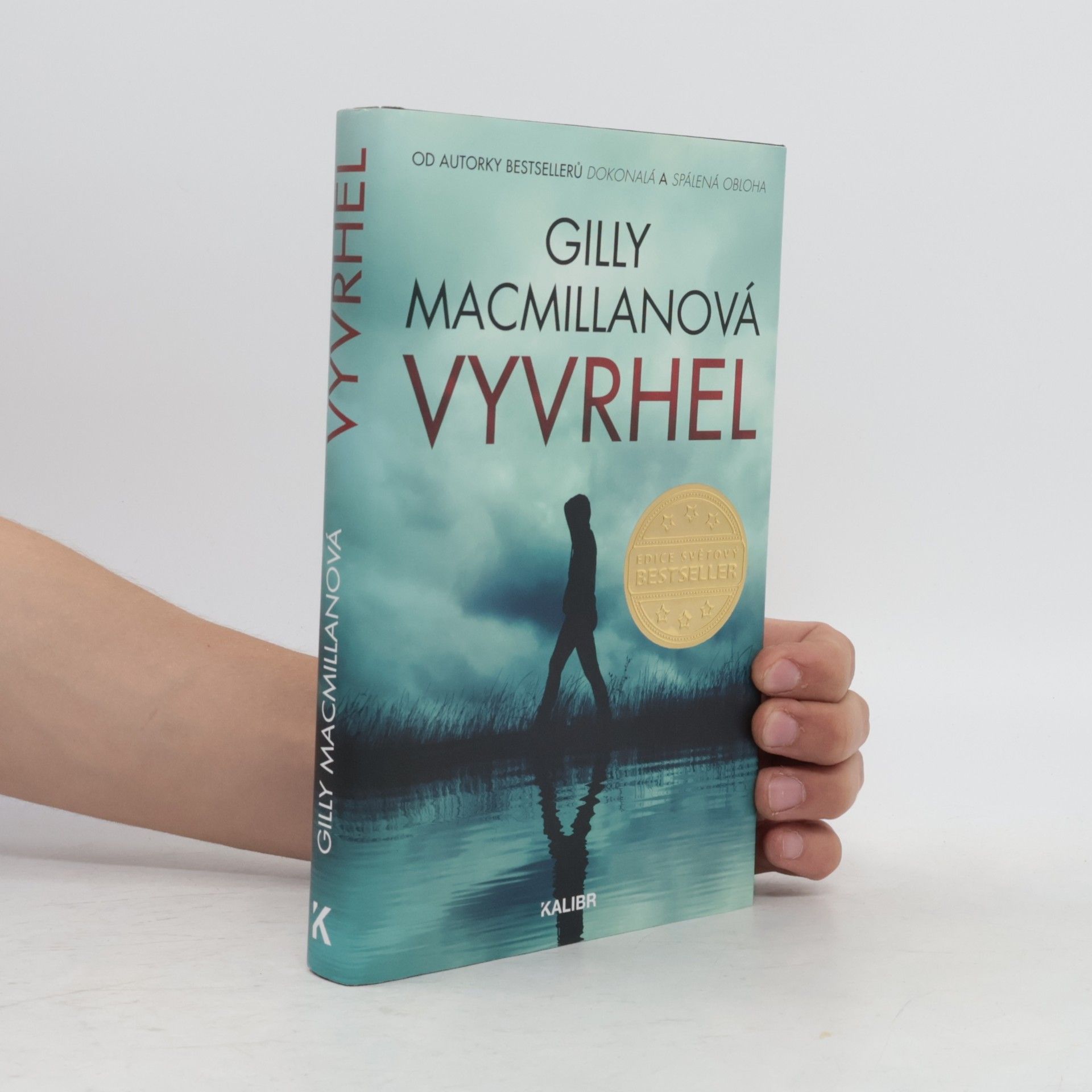 Gilly Macmillan Vyvrhel