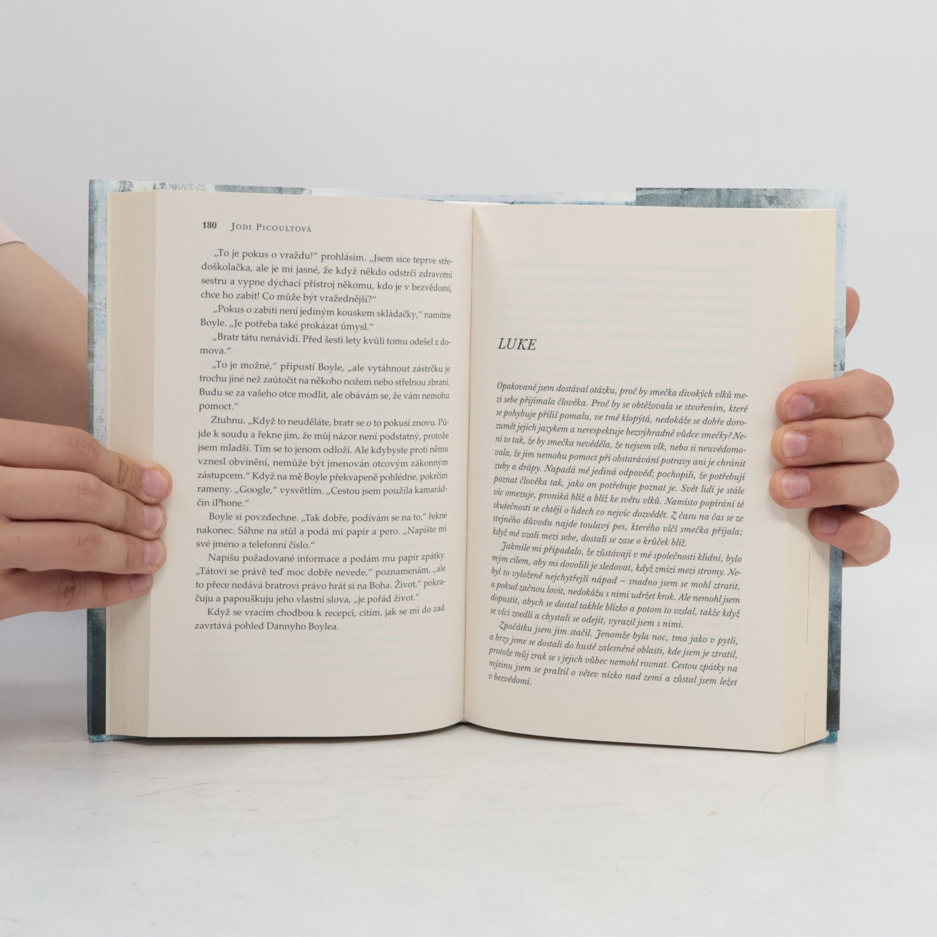 Jodi Picoult Vlk samotář