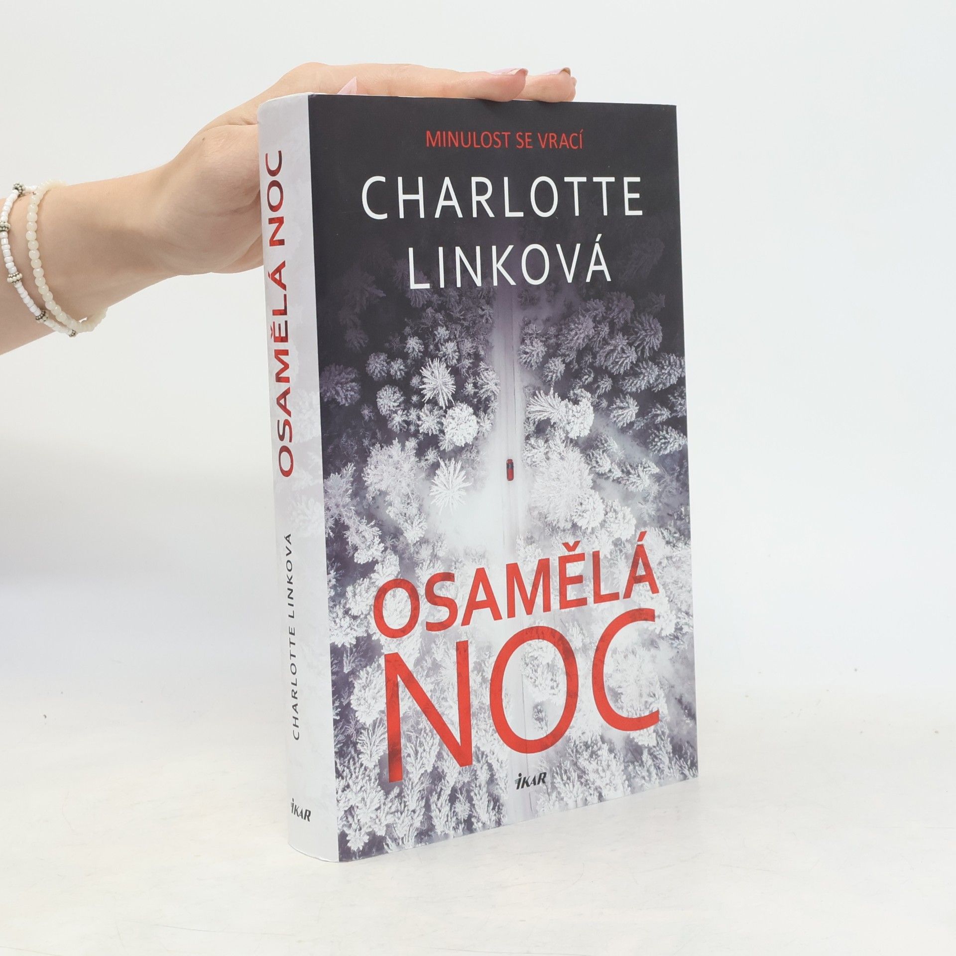 Charlotte Link Osamělá noc