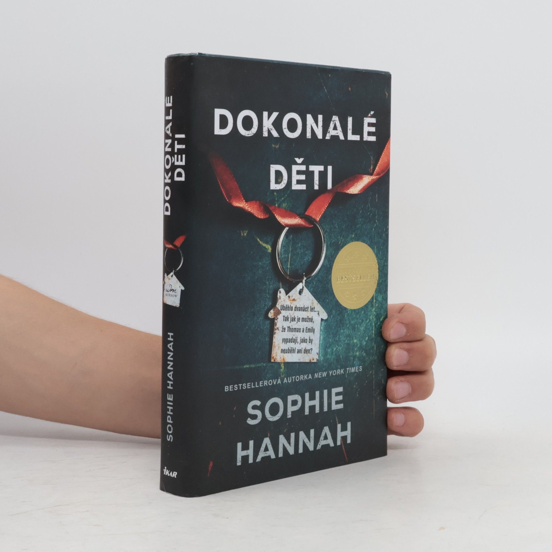 Sophie Hannah Dokonalé děti