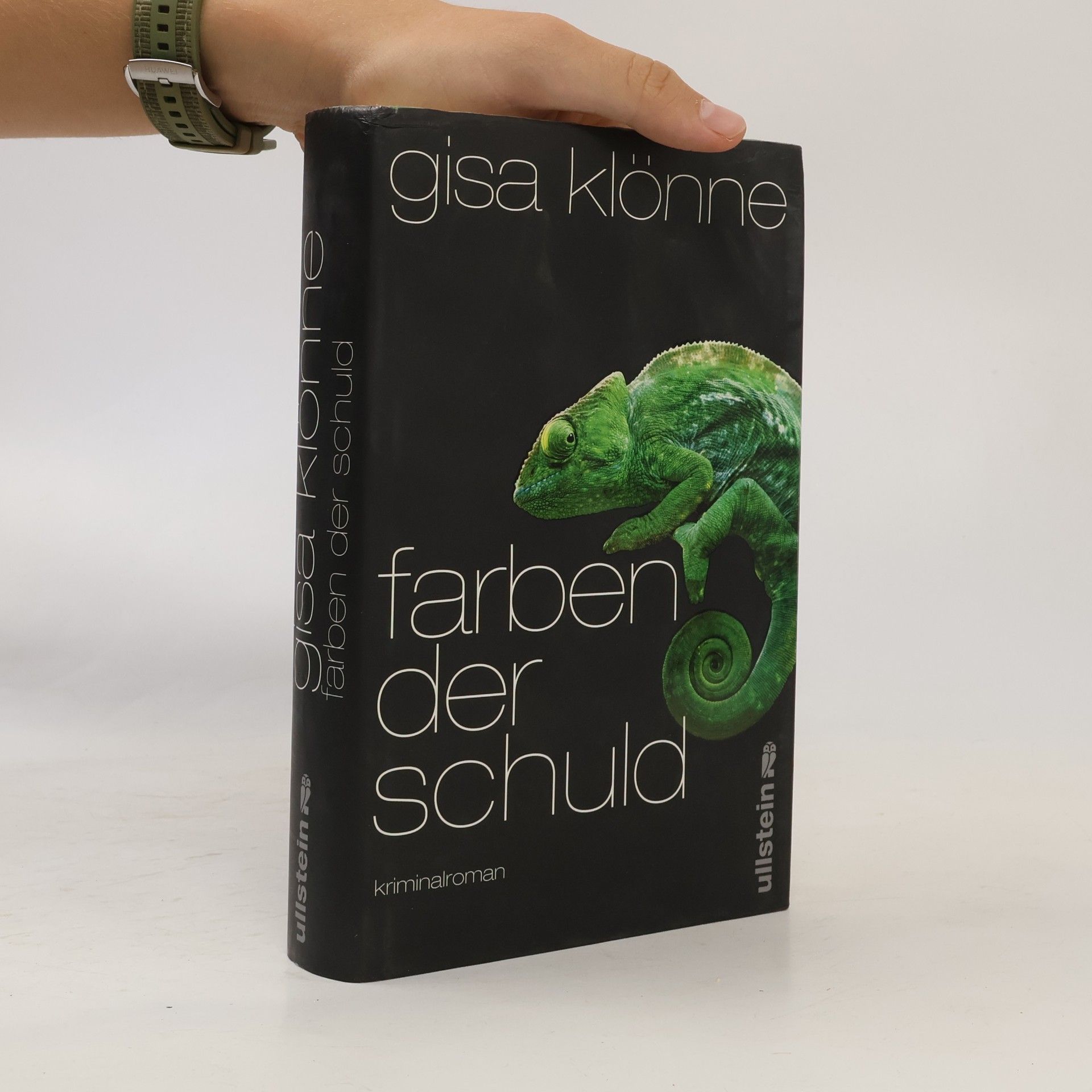 Gisa Klönne Farben der Schuld