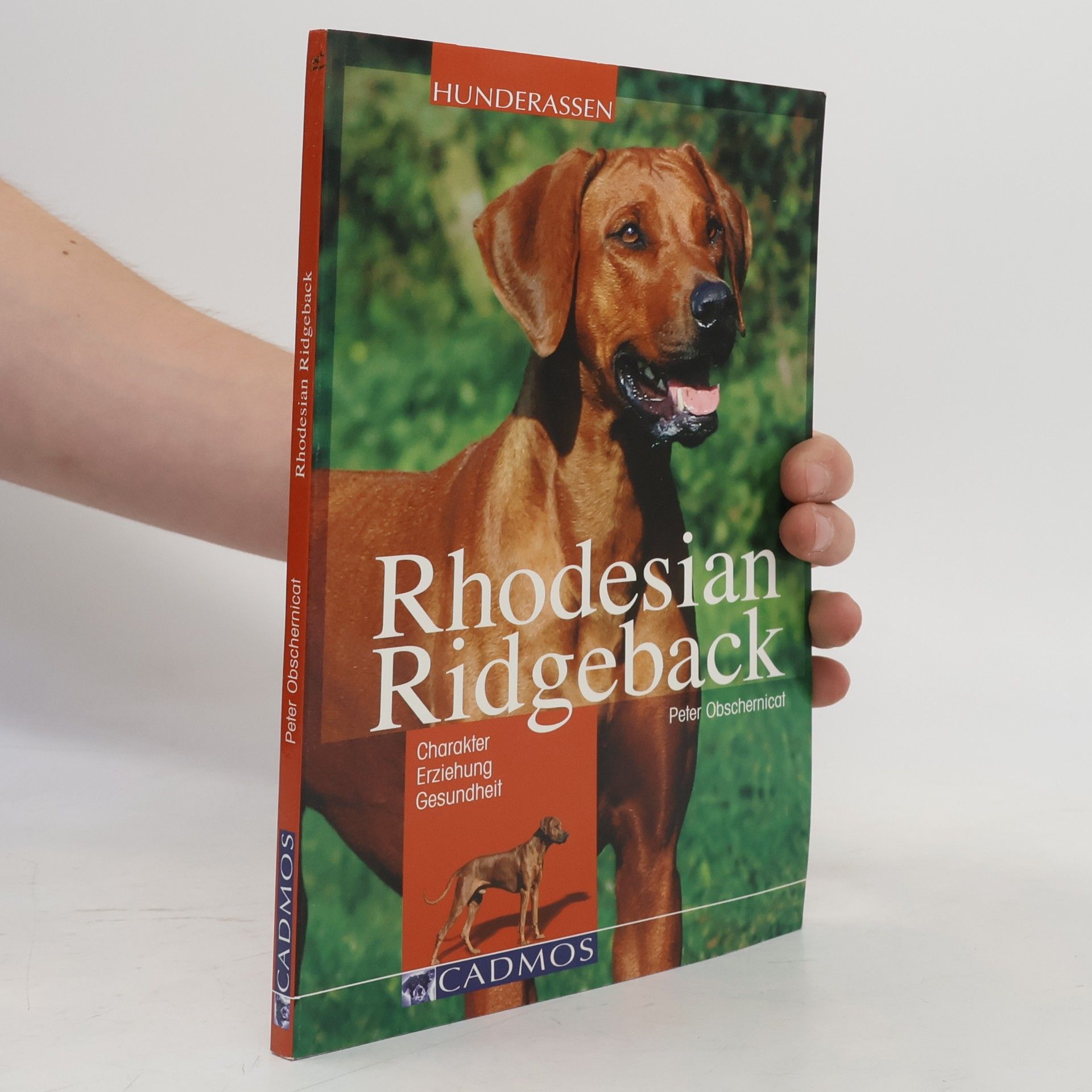 Peter Obschernicat Rhodesian Ridgeback