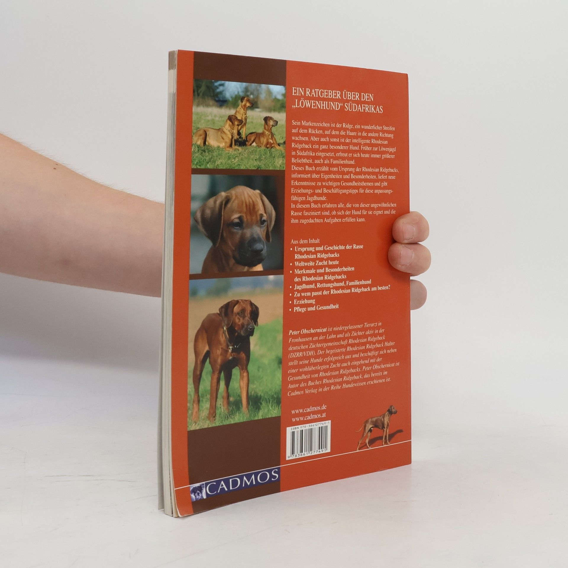 Peter Obschernicat Rhodesian Ridgeback