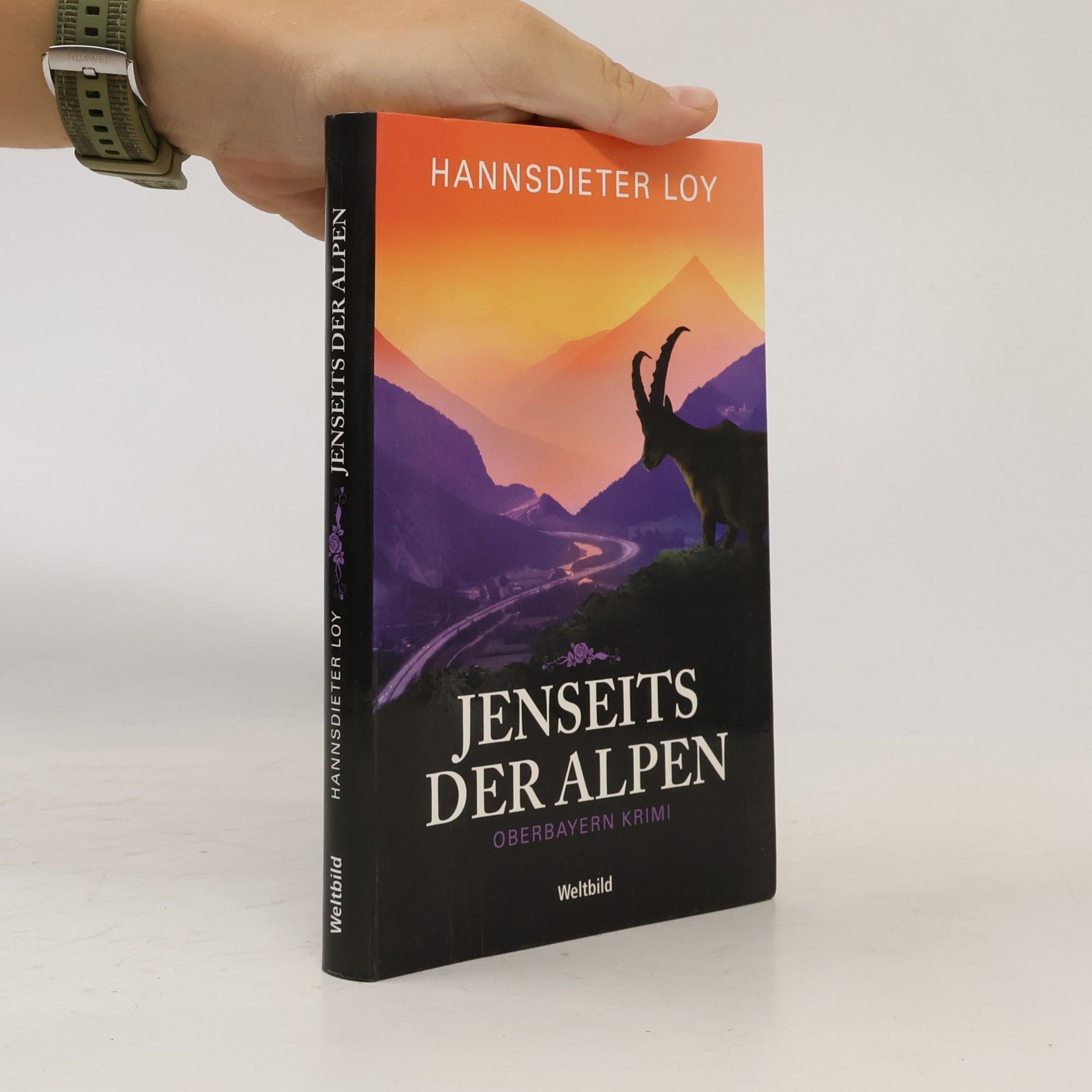 Hannsdieter Loy Jenseits der Alpen