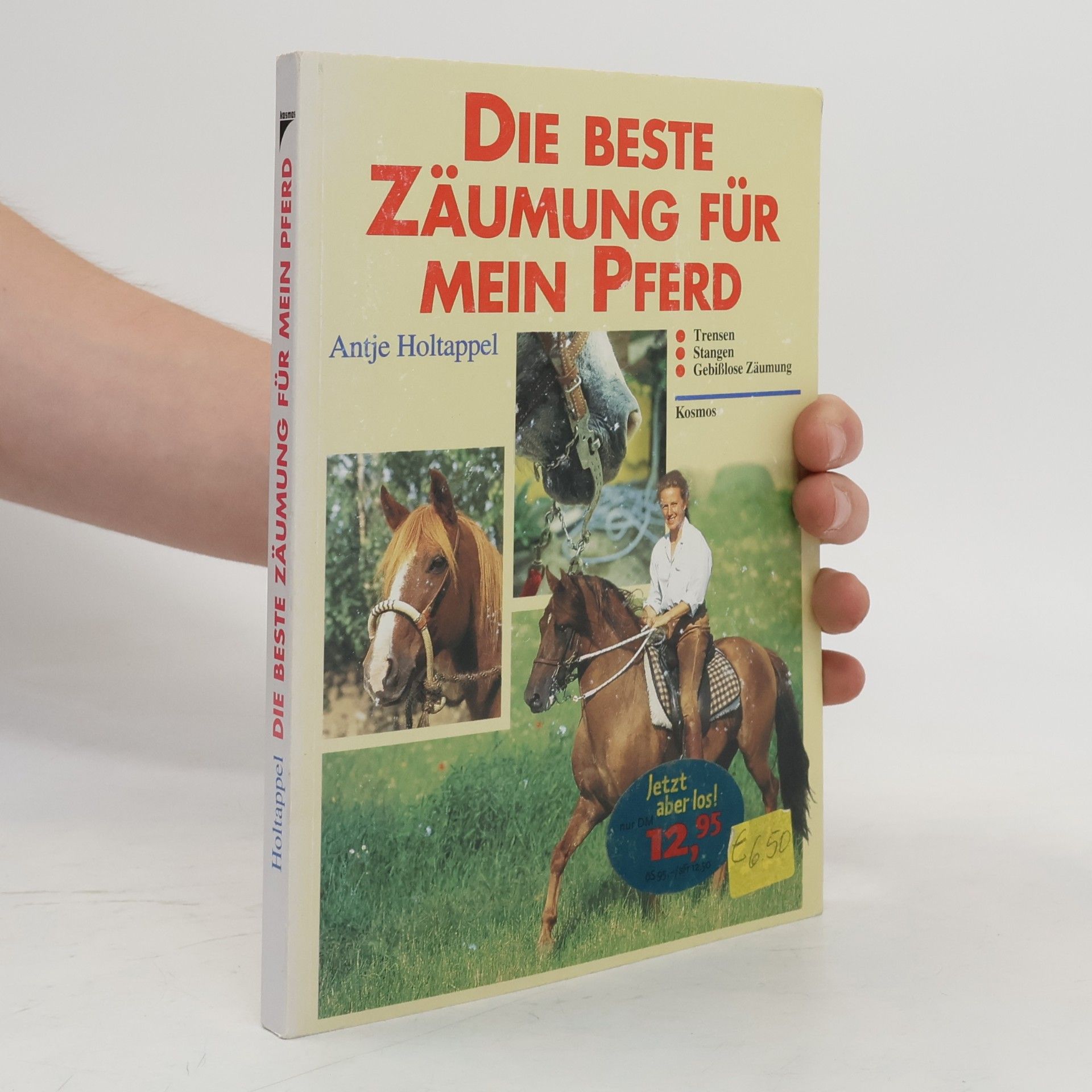 Antje Holtappel Die beste Zäumung für mein Pferd