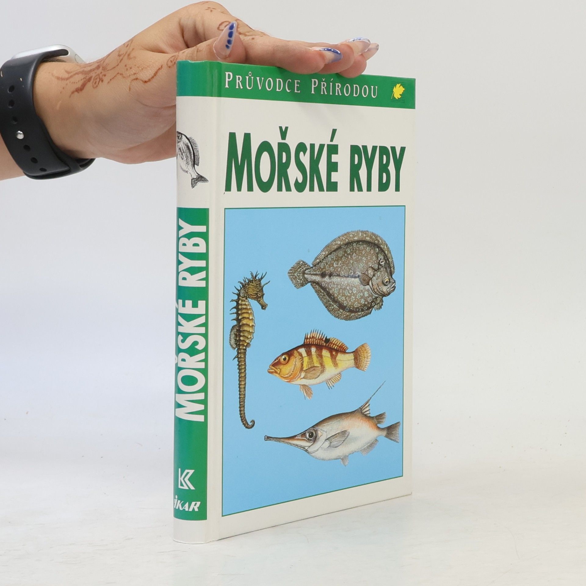 Frieder Sauer Mořské ryby v evropských vodách