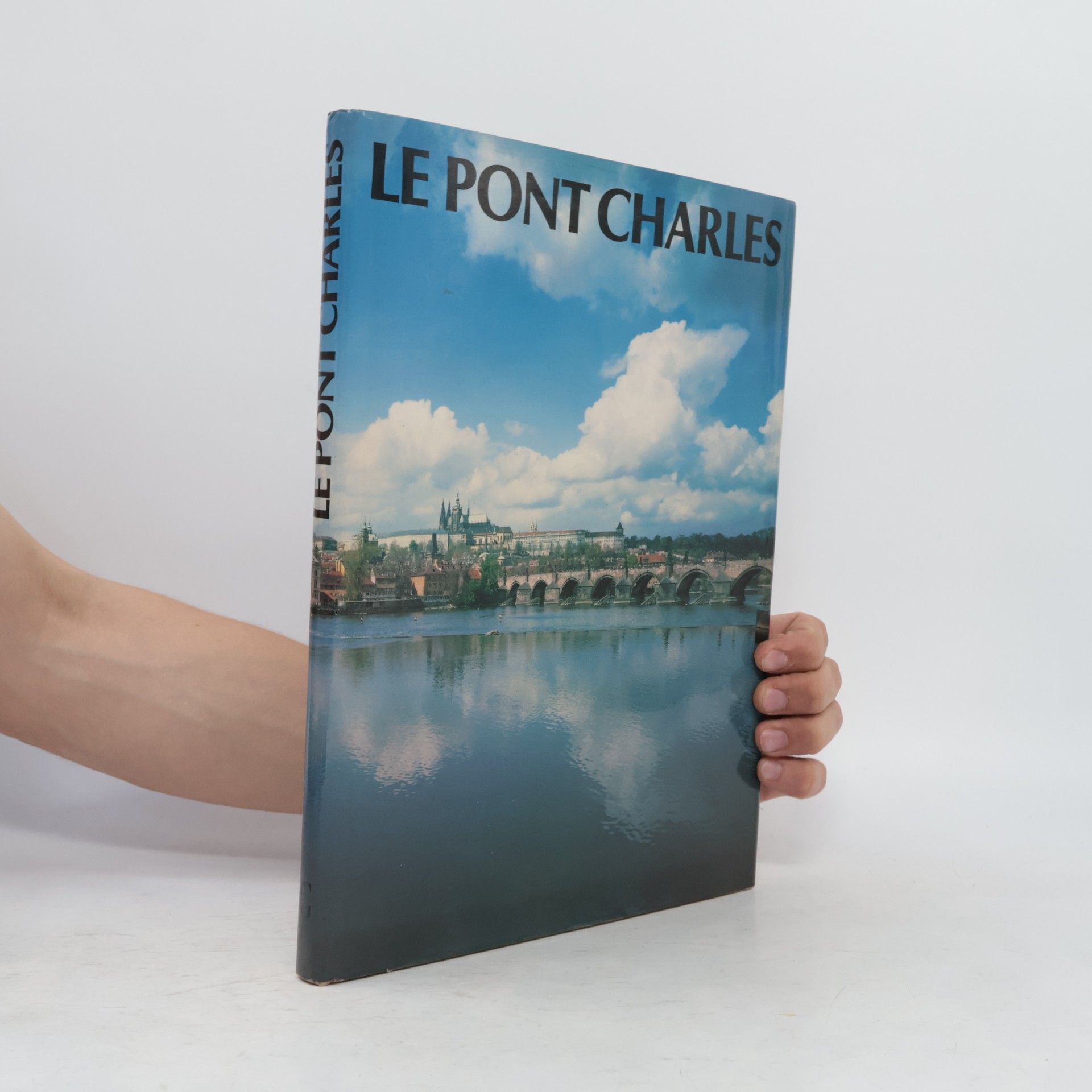 Karel Neubert Le Pont Charles