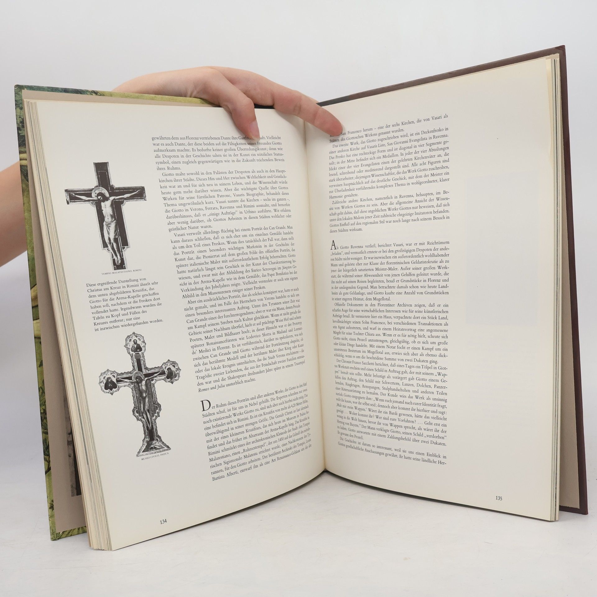 Sarel Eimerl Giotto und seine Zeit