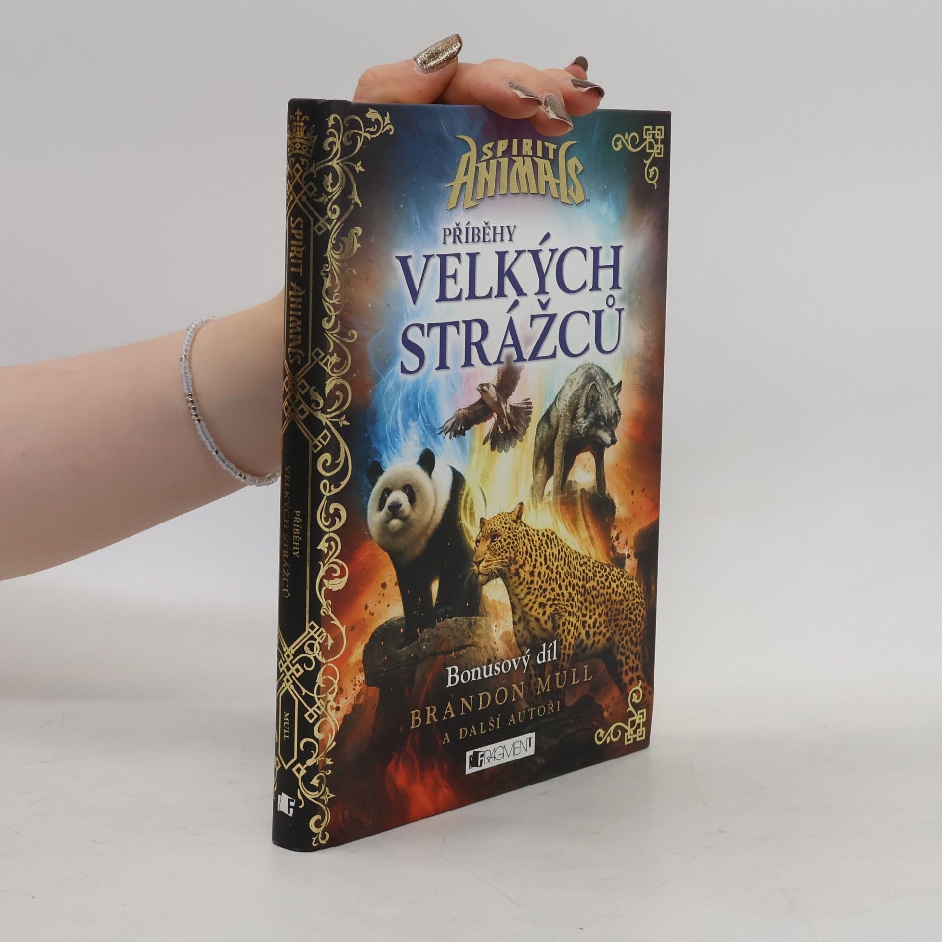 Brandon Mull Příběhy Velkých strážců