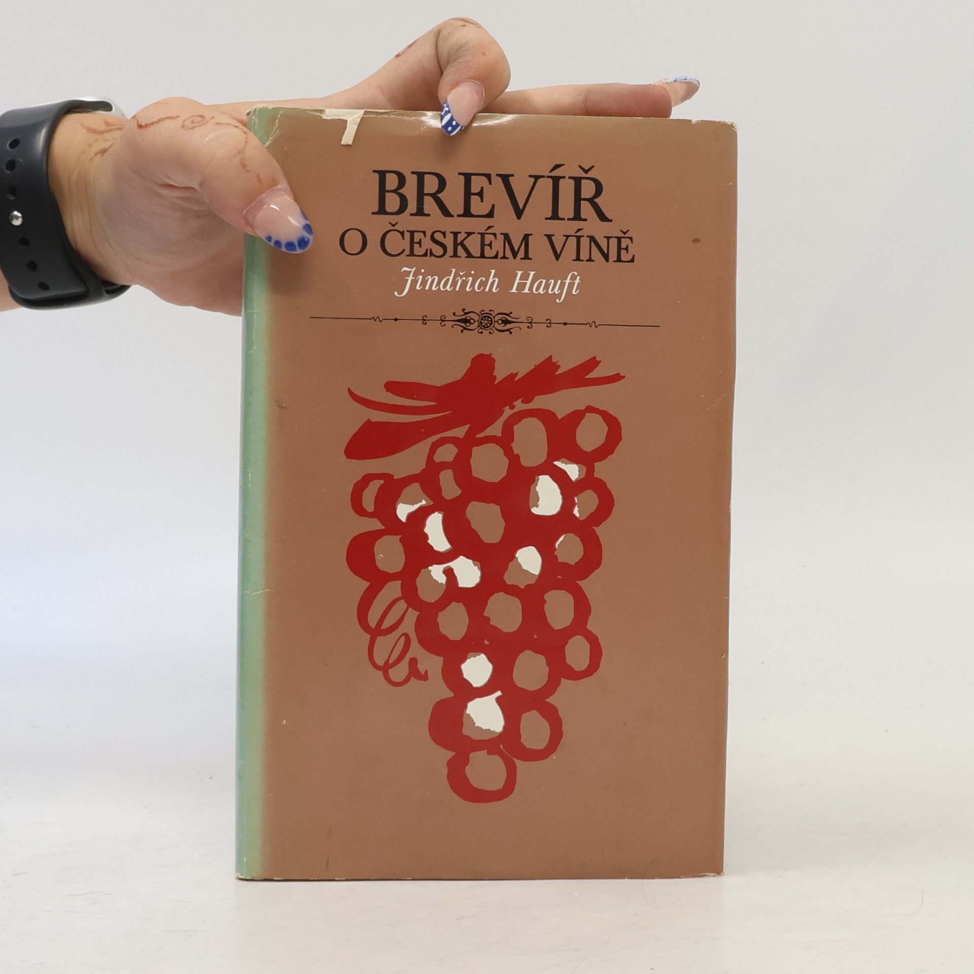 Jindřich Hauft Brevíř o českém víně