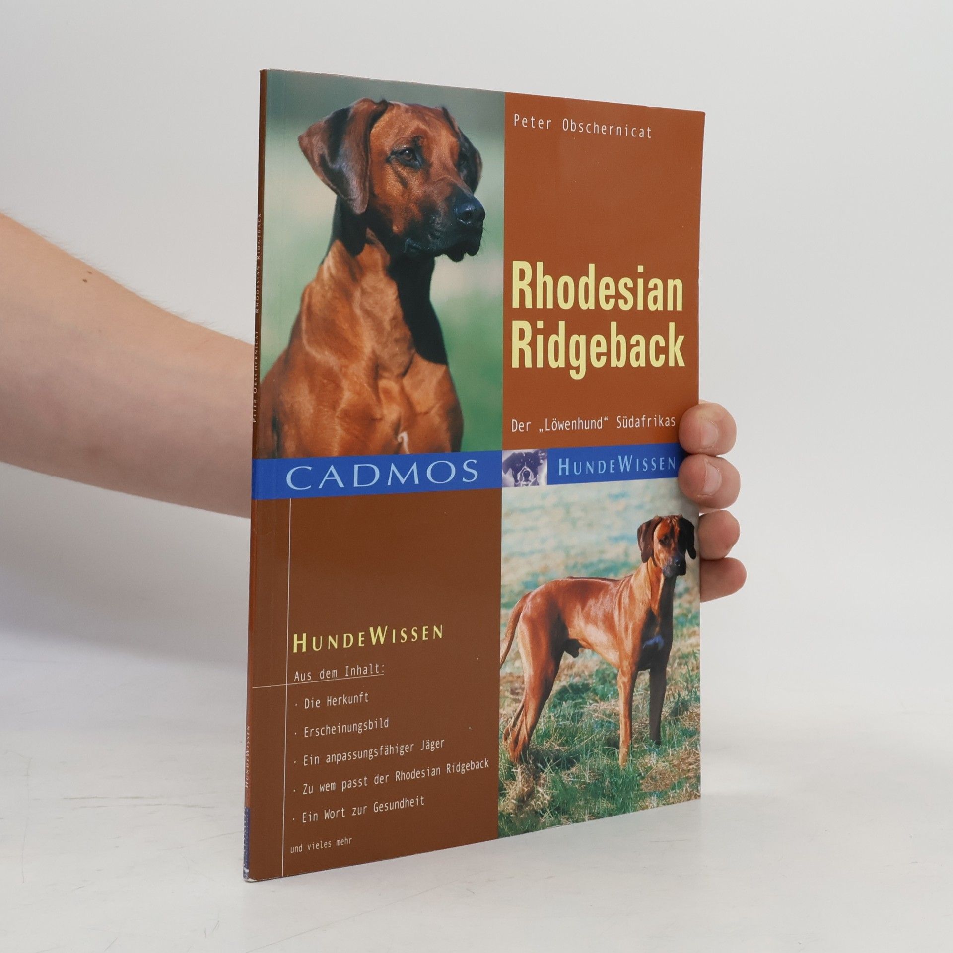 Peter Obschernicat Cadmos Hundewissen: Rhodesian Ridgeback