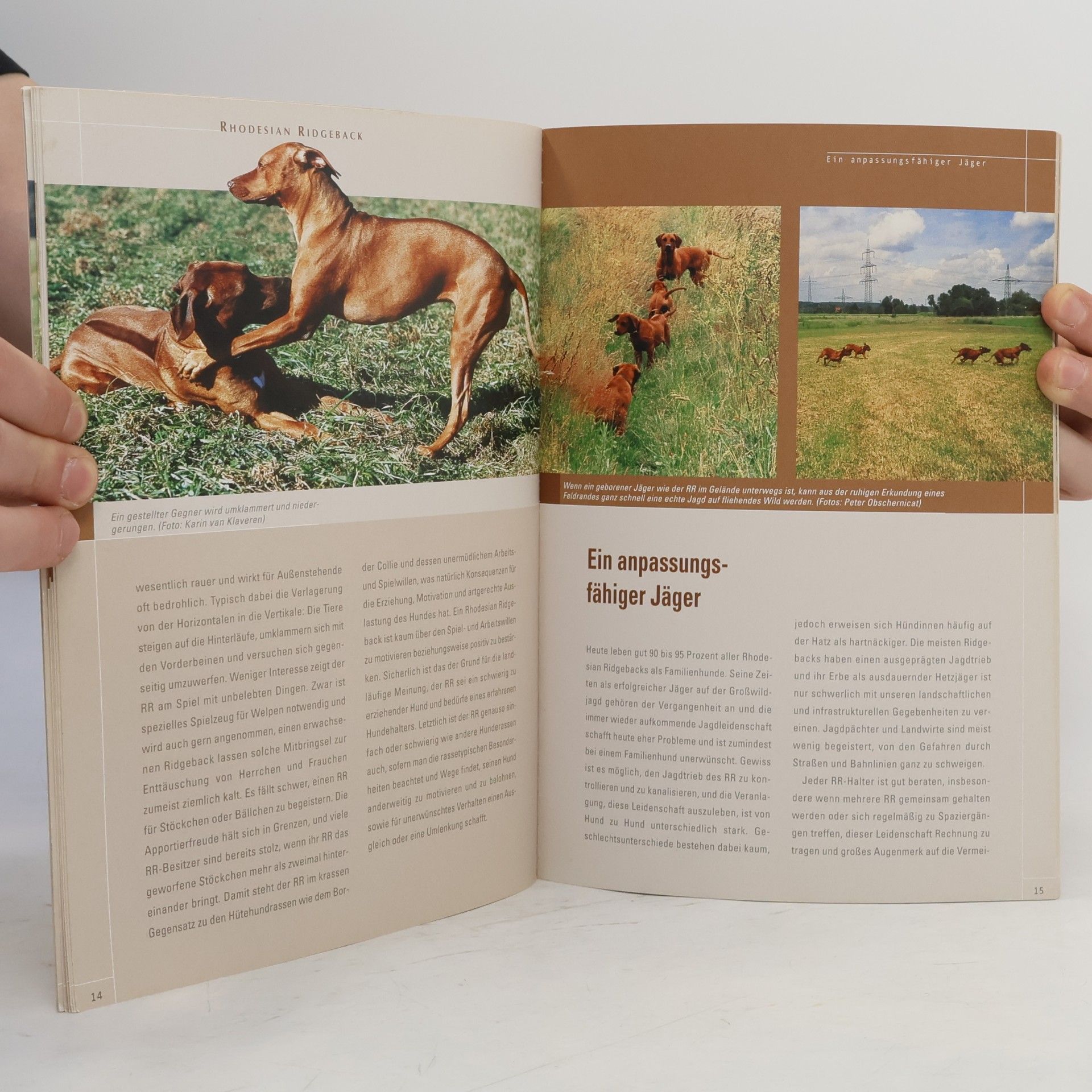 Peter Obschernicat Cadmos Hundewissen: Rhodesian Ridgeback