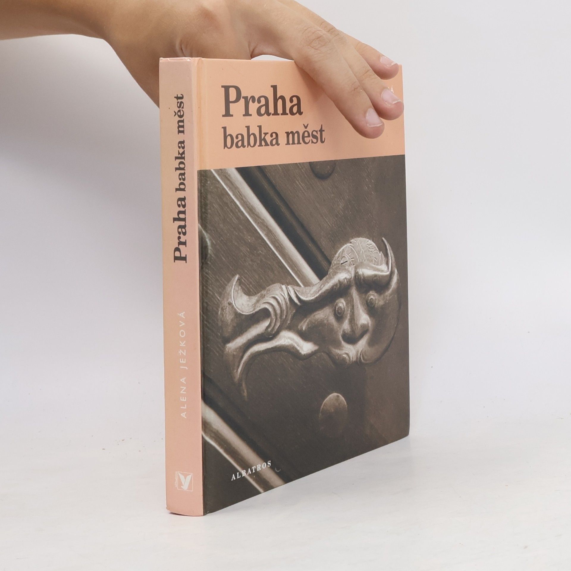Alena Ježková Praha babka měst