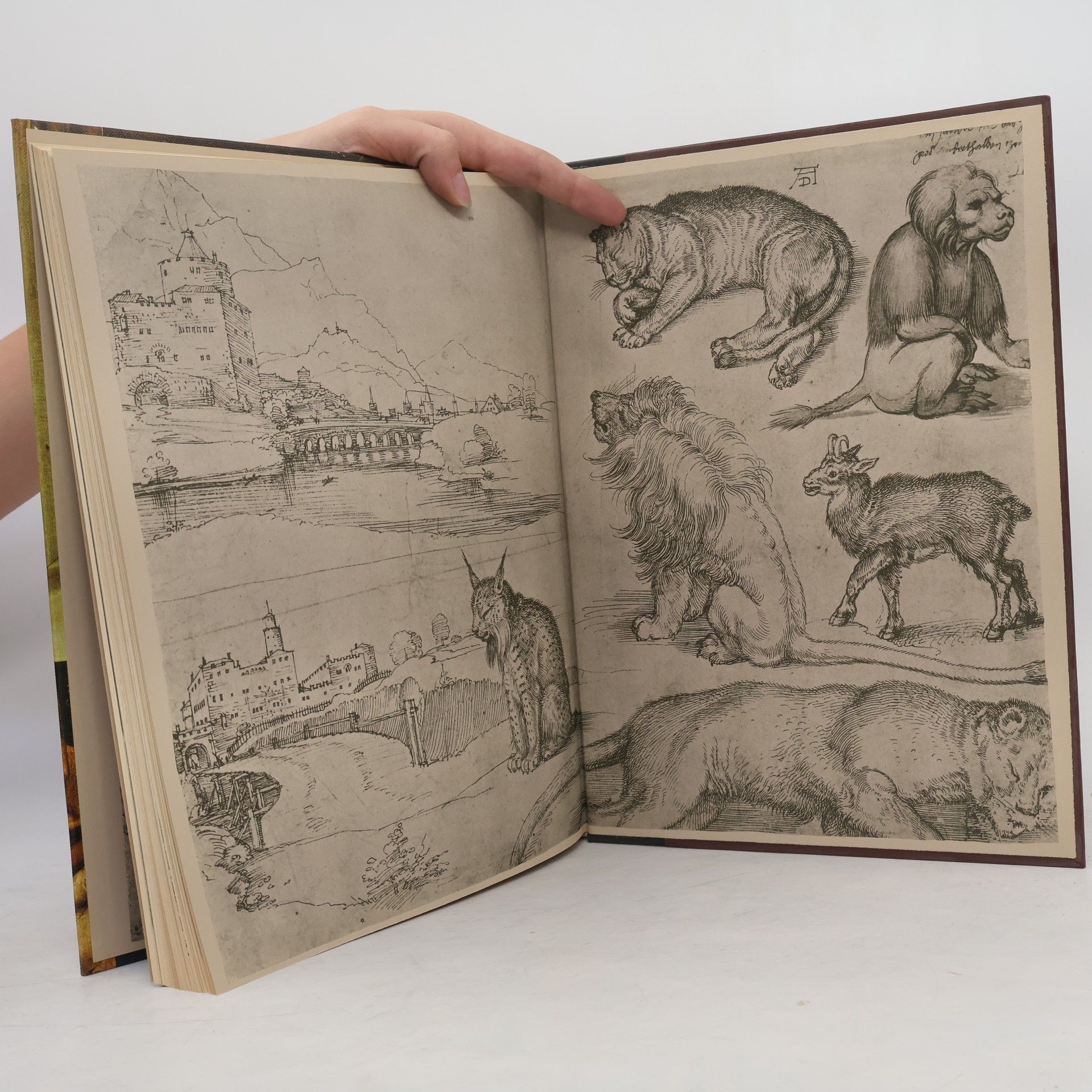 Francis Russell Dürer und seine Zeit