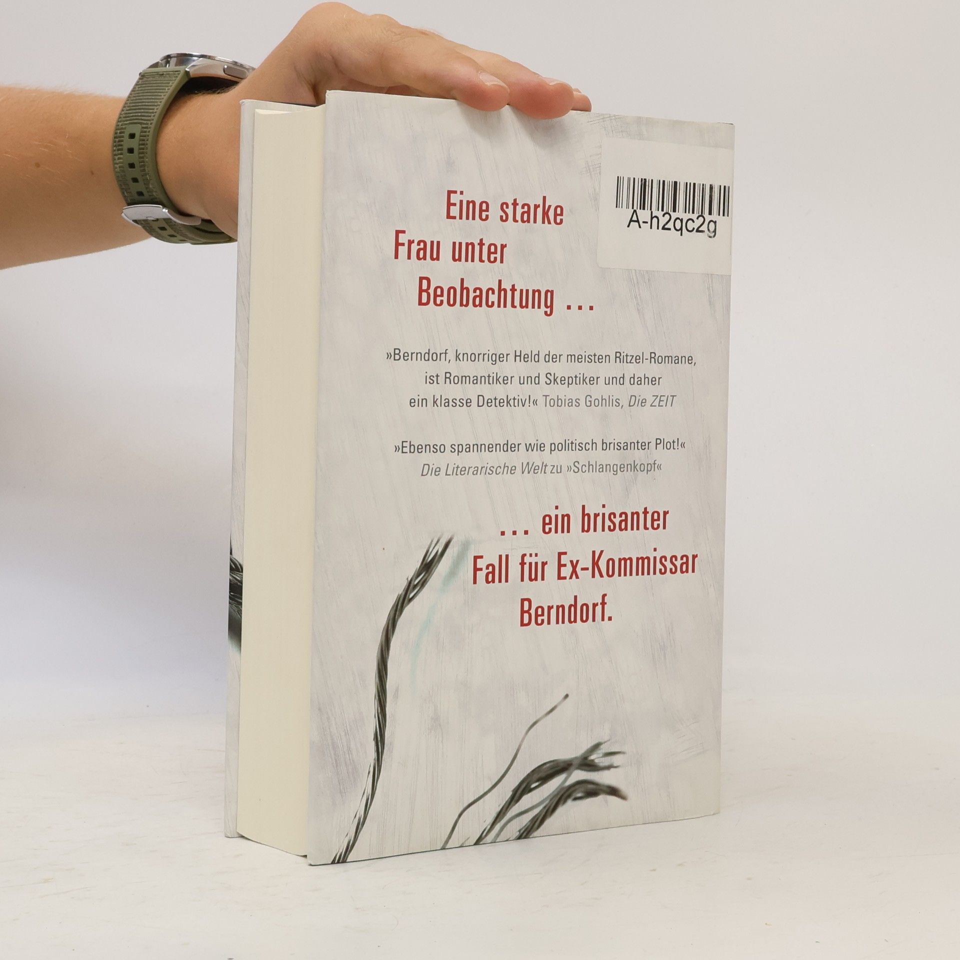 Ulrich Ritzel Trotzkis Narr