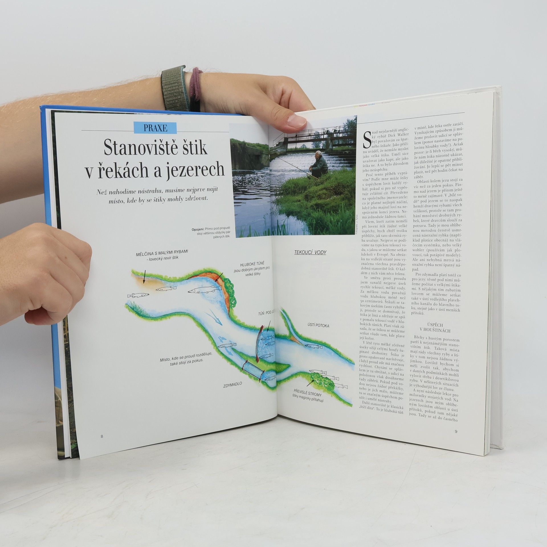 Frerk Petersen Jak se loví štika