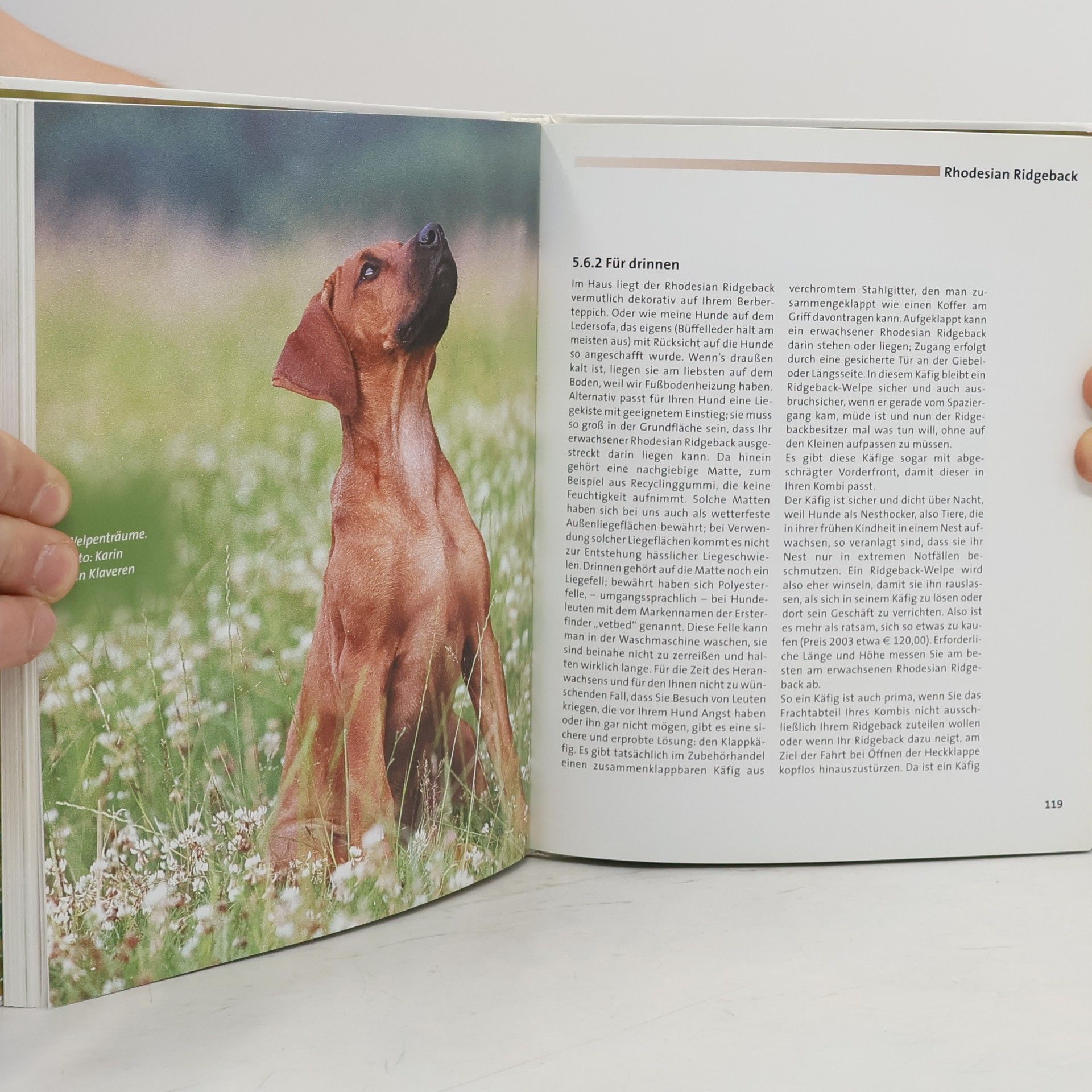 Jochen H. Eberhardt Rhodesian Ridgeback