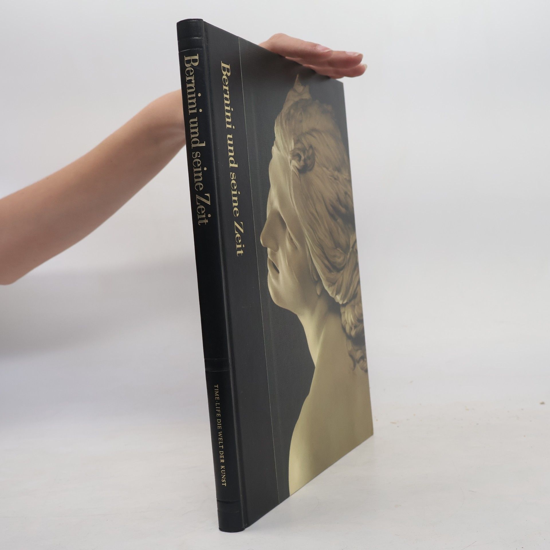 Robert Wallace Bernini und seine Zeit