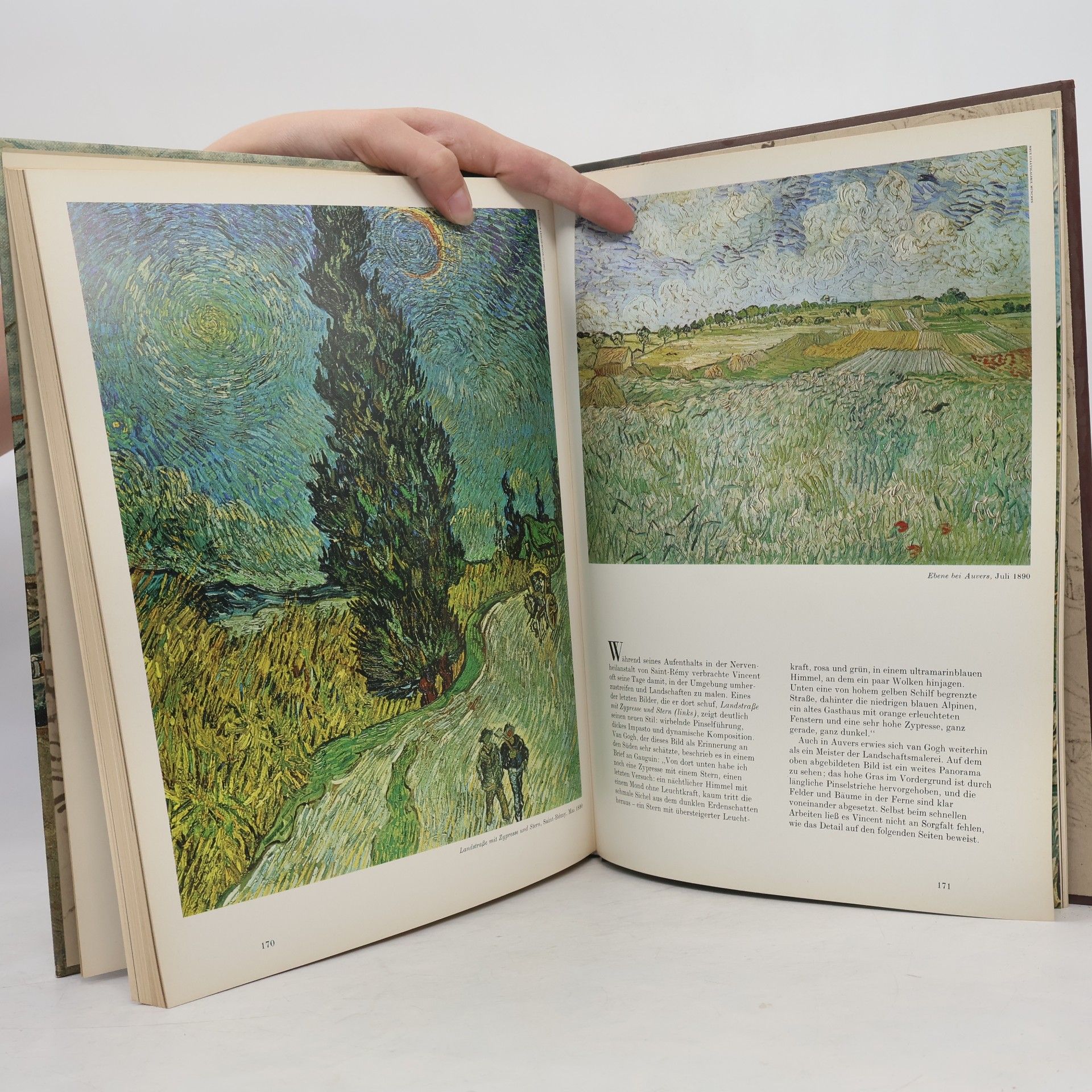 Robert Wallace Van Gogh und seine Zeit