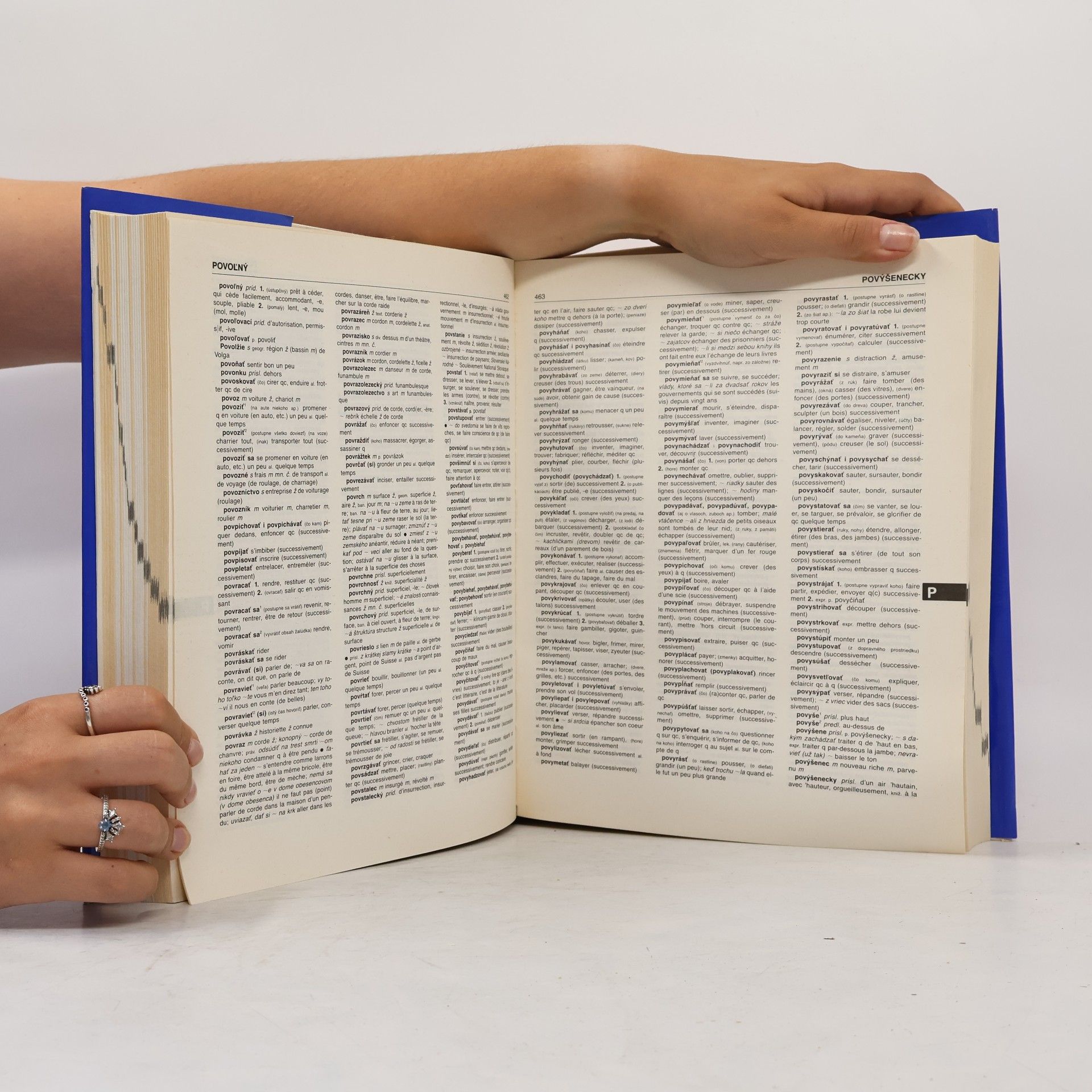 Jozef Škultéty Slovensko-francúzsky slovník. Dictionnaire slovaque-français