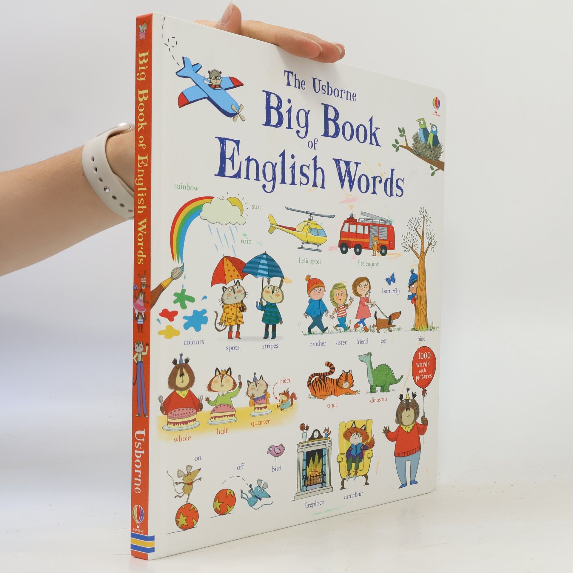 Mairi Mackinnon The Usborne Big Book of English Words