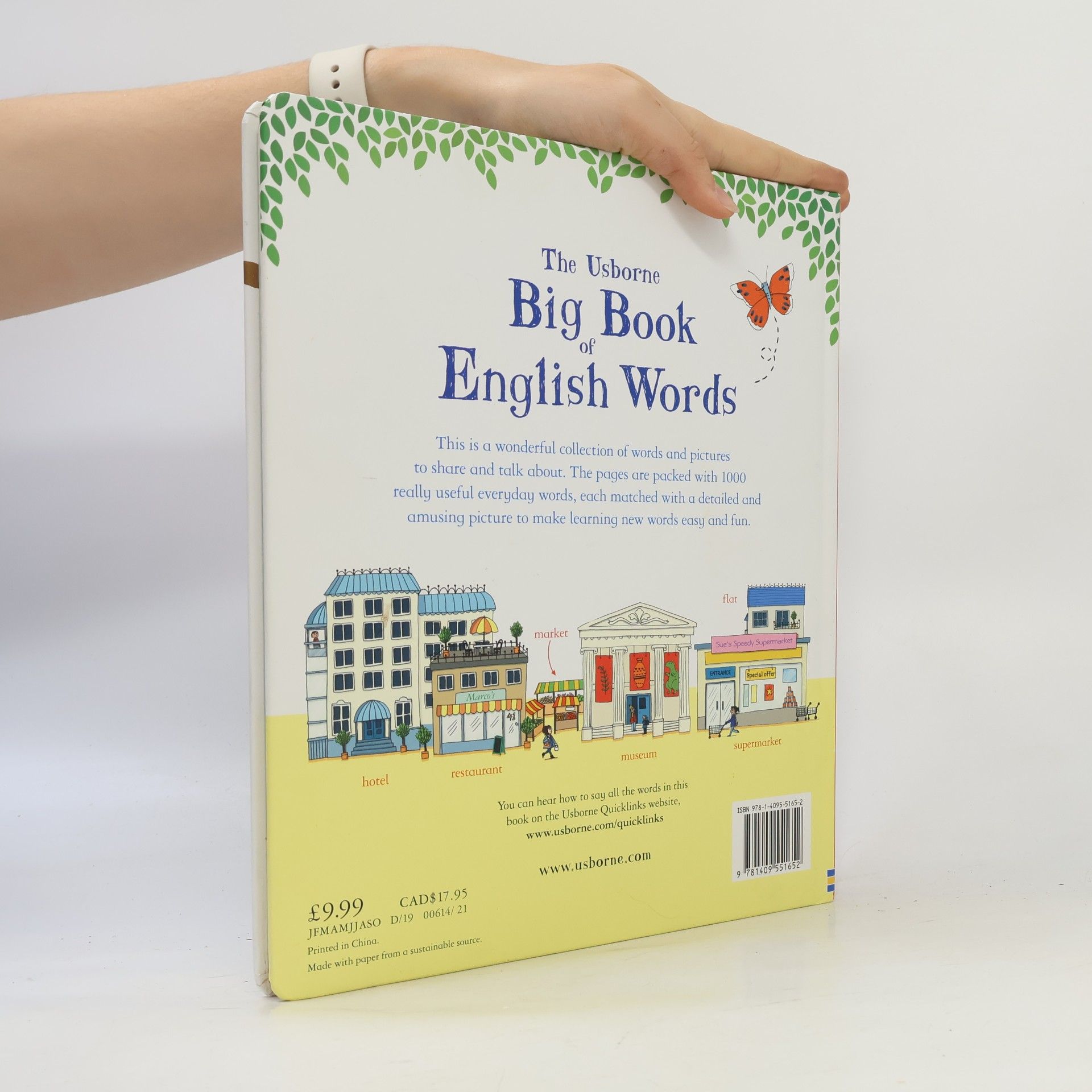 Mairi Mackinnon The Usborne Big Book of English Words