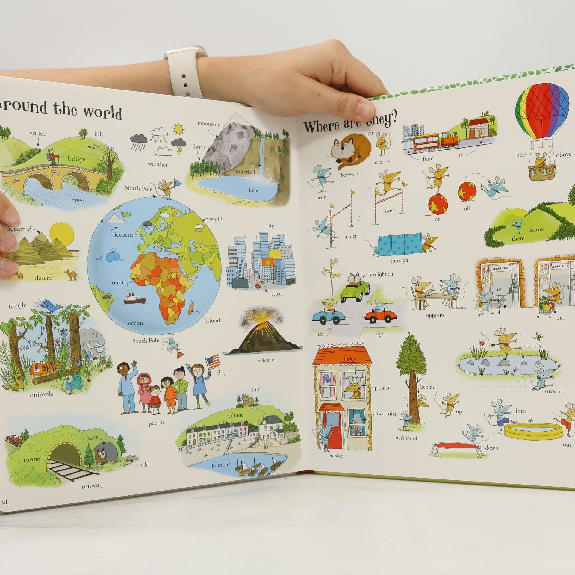 Mairi Mackinnon The Usborne Big Book of English Words