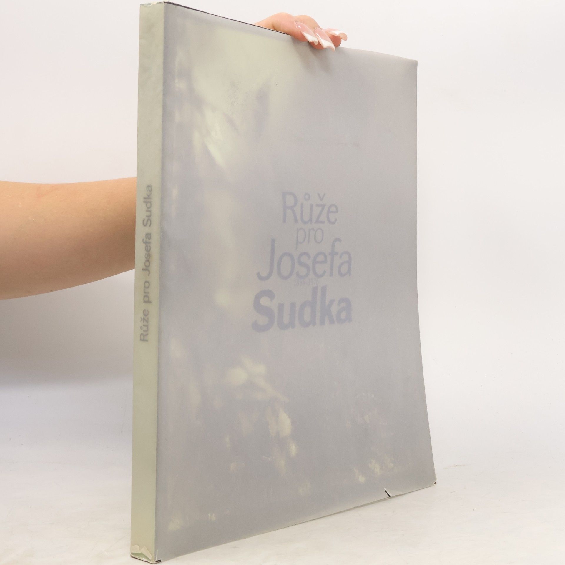 Kolektiv autorů Růže pro Josefa Sudka 1896-1976