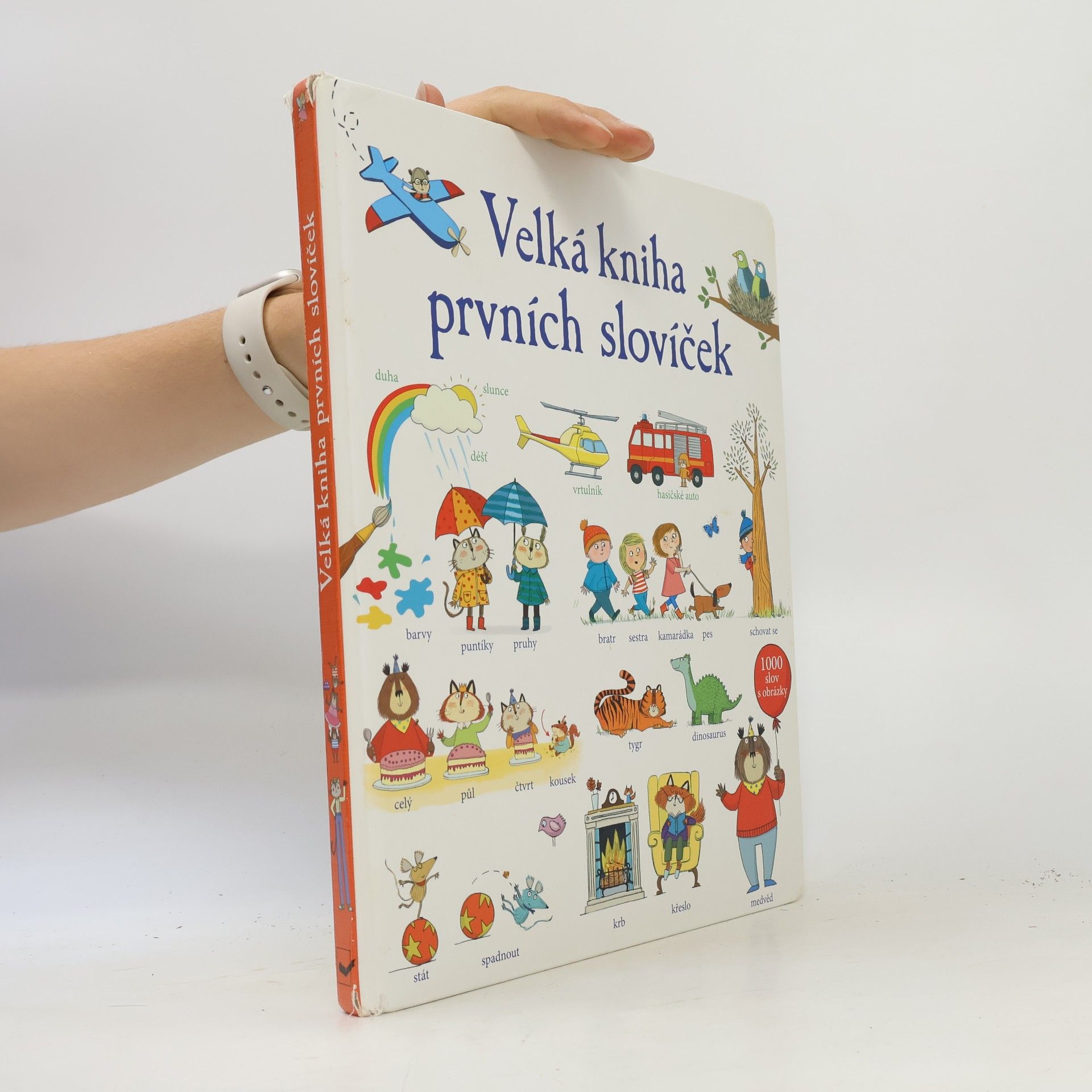 Mairi Mackinnon Velká kniha prvních slovíček