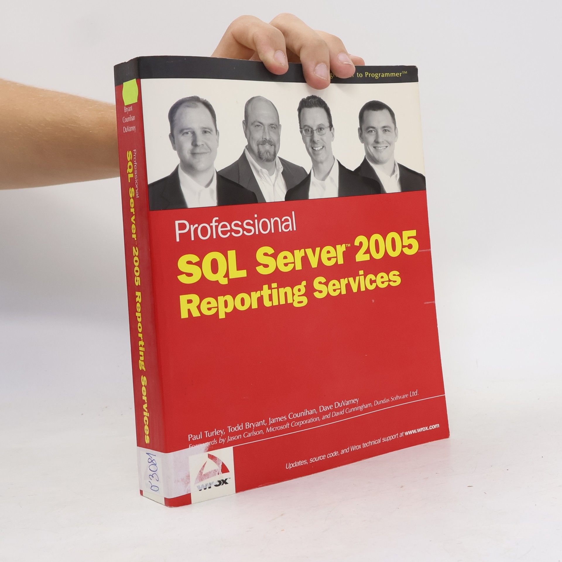 Paul Turley Professional SQL Server 2005 reporting services