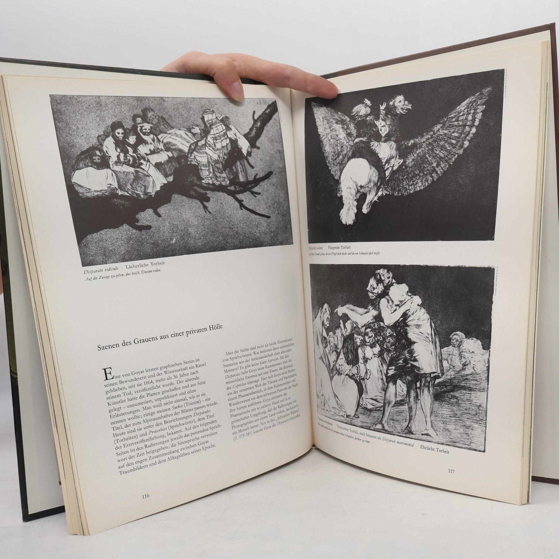 Auteurscollectief Goya und seine Zeite
