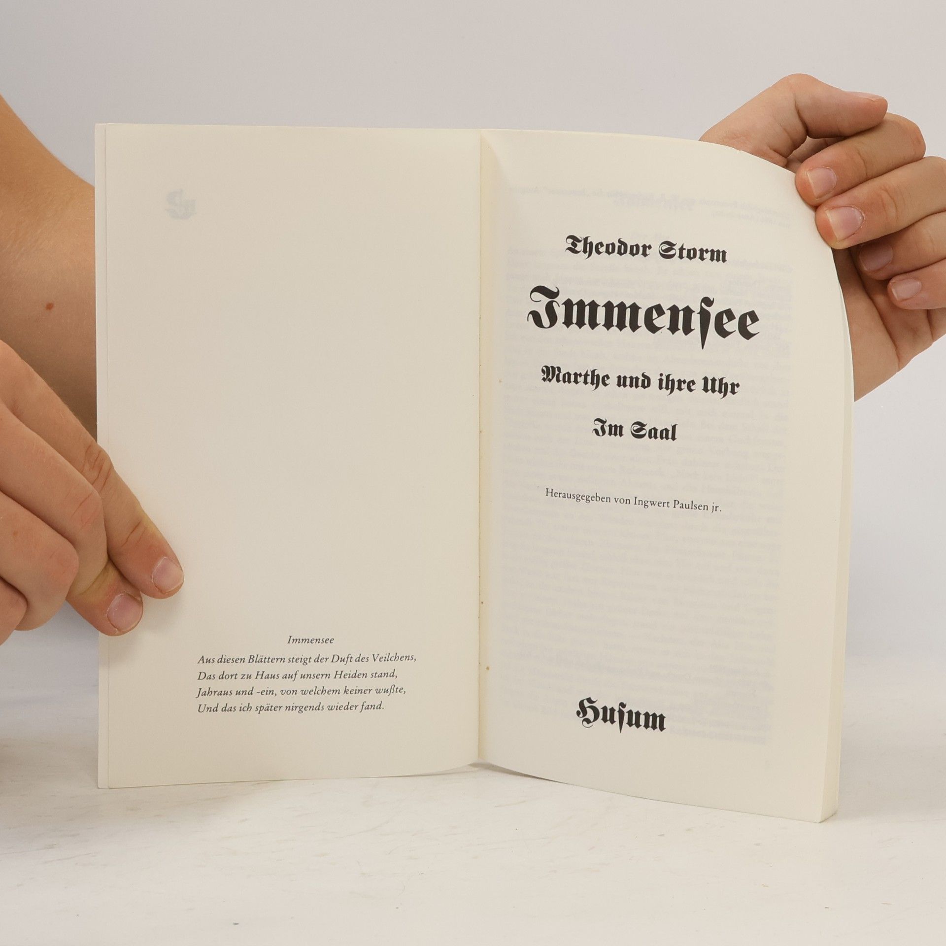 Theodor Storm Immensee